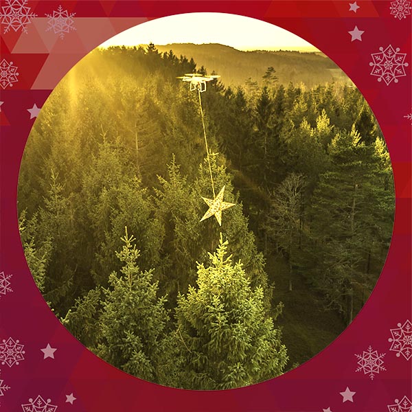 Julkort 2014 - Även om det finns för mycket planterad granskog kan den få bli pyntad.
