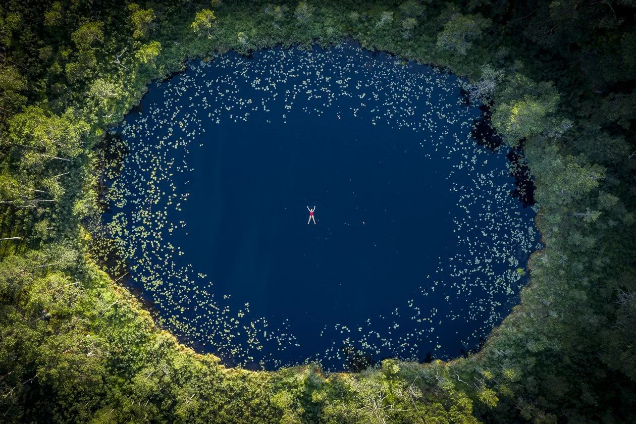 Tjärn i Kynnefjällsreservatet