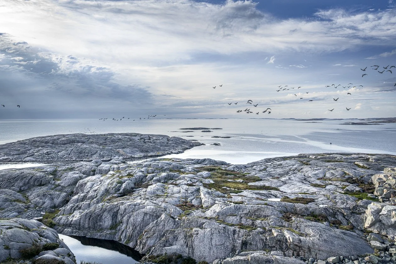 Lyngö i Bottnafjorden