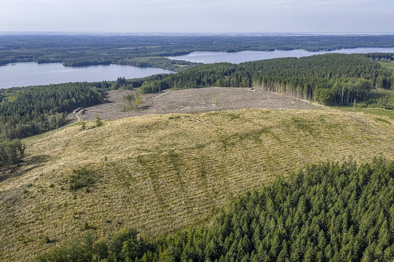 Kalhyggen på Hallandsåsen