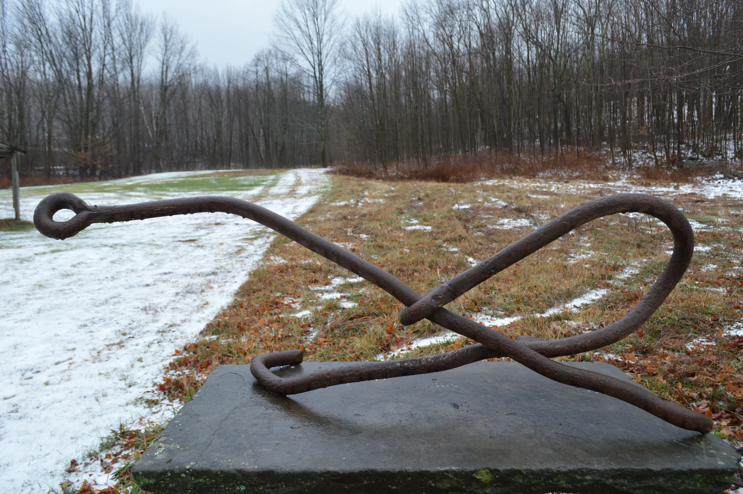 DSC_1691-3.jpeg