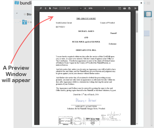 Bundledocs_Preview_Window_Screen.png