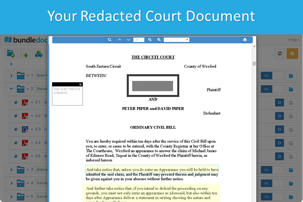 How_To_Redact_Court_Documents_6.png