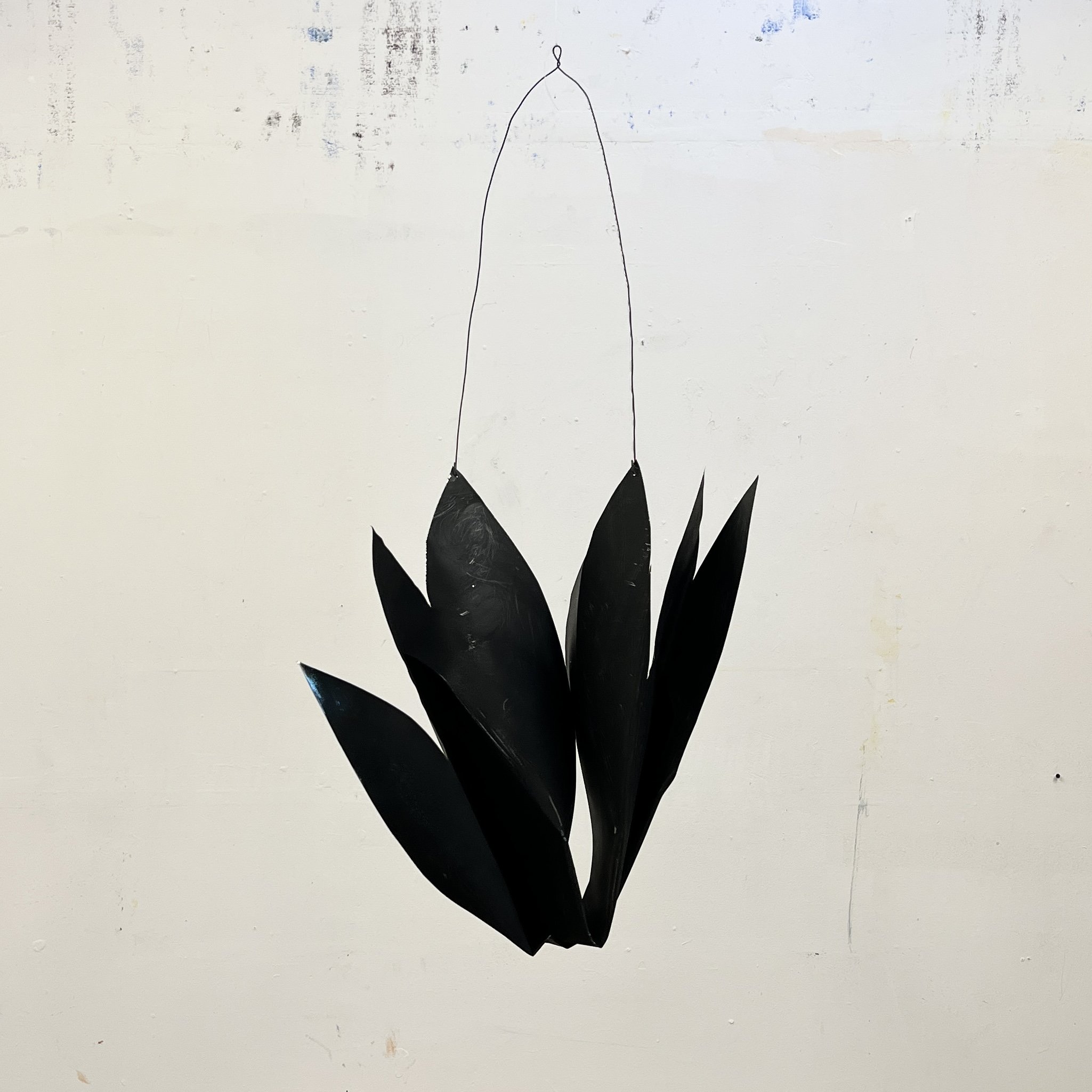 Charcoal Lily 2, 2023
