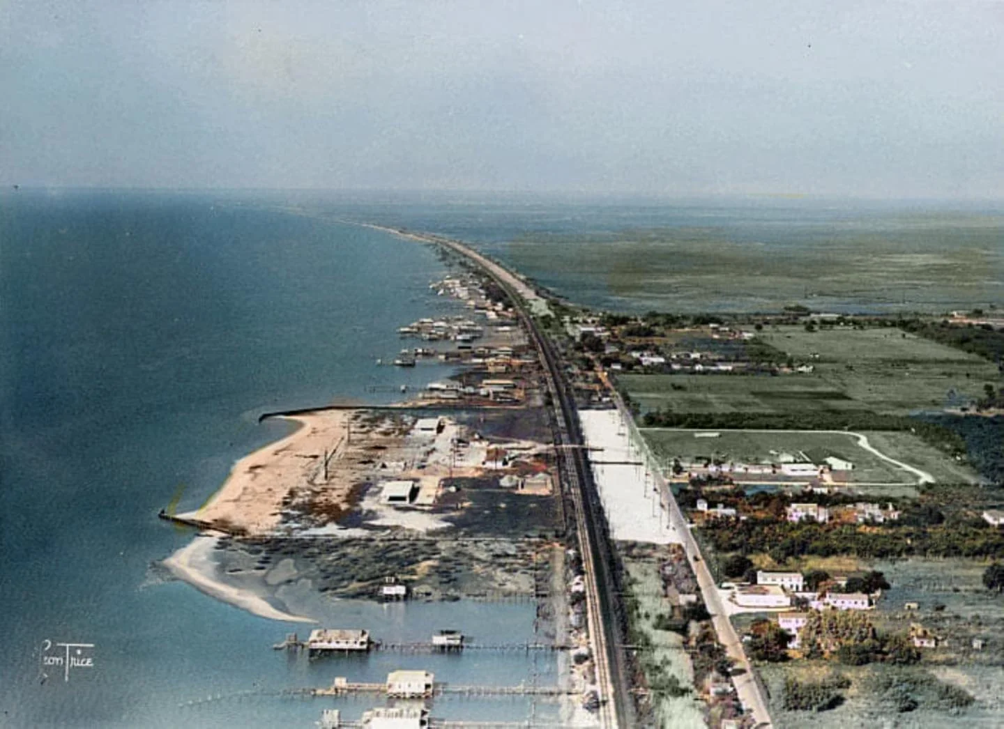  Colorized photograph by Leon Trice/Times Picayune Archive. 