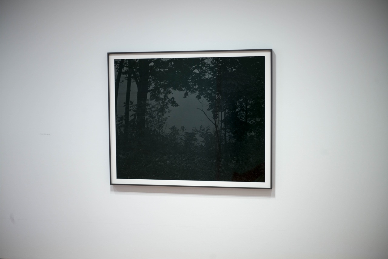 L1009207.jpg