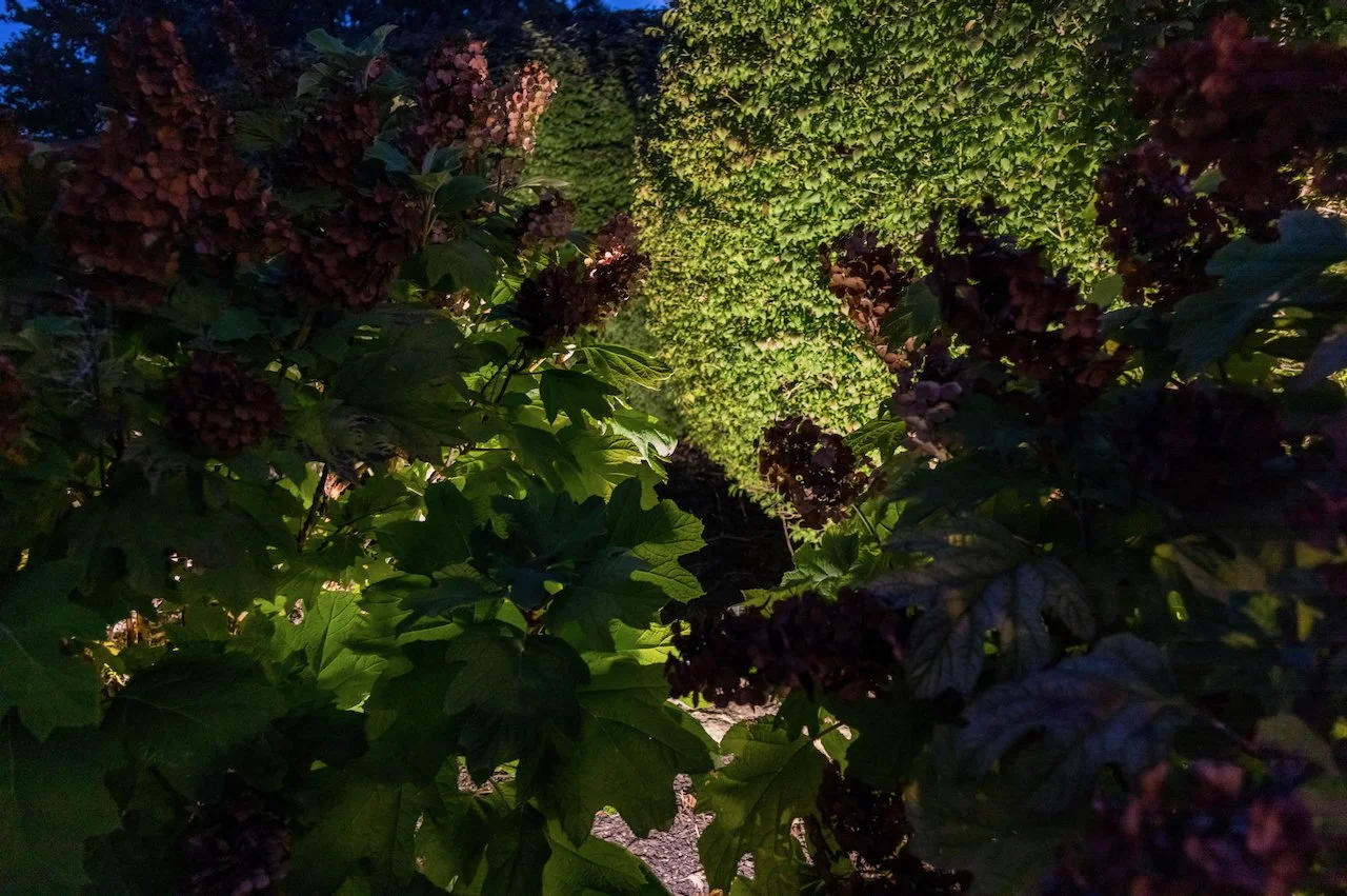 L1009005.jpeg