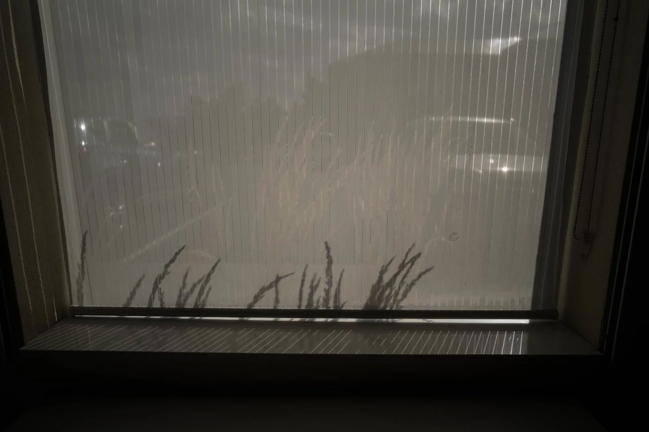 L1009218.jpeg