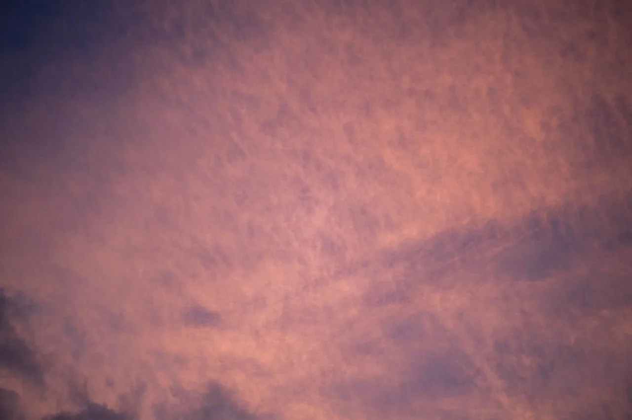 L1009246.jpeg
