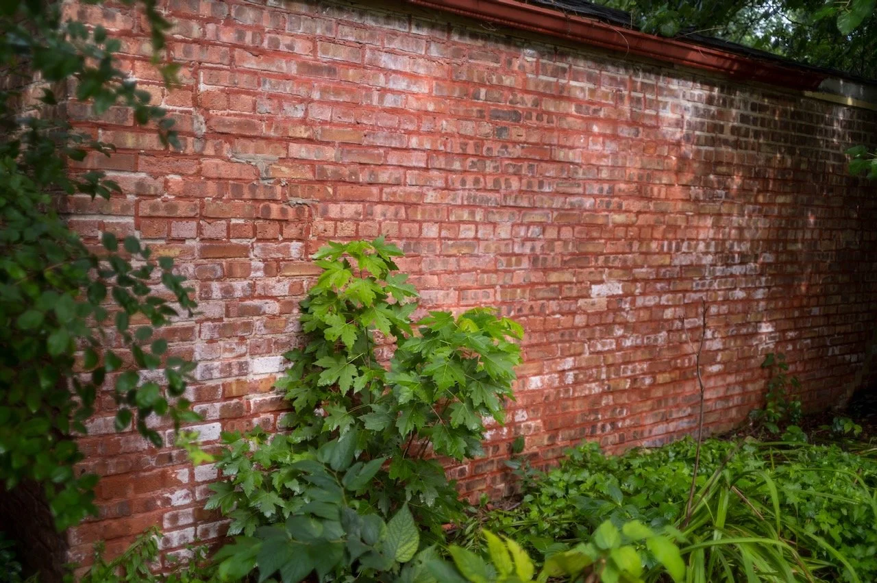 L1009500.jpeg