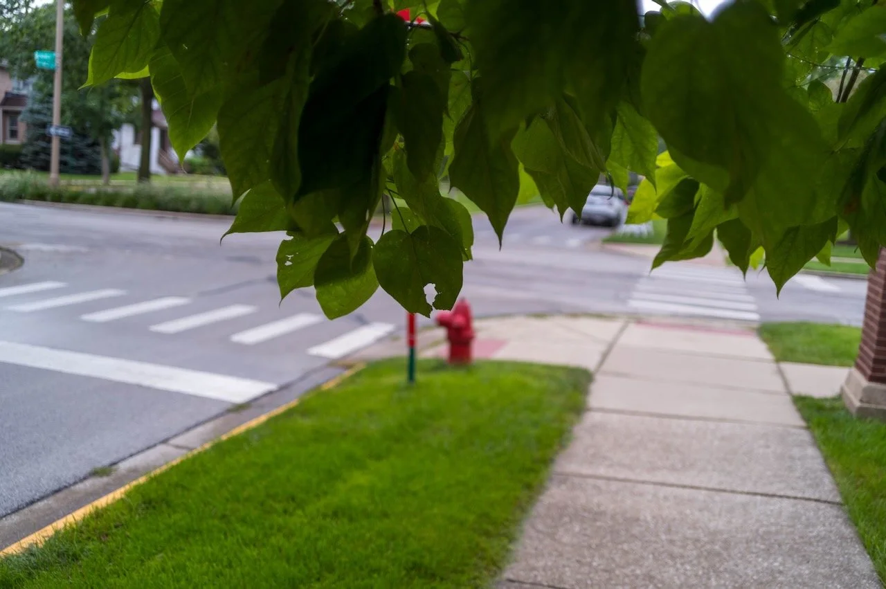 L1009504.jpeg