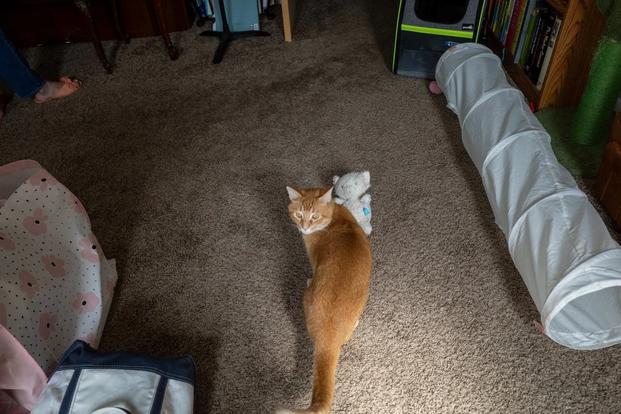 _R009946.jpeg