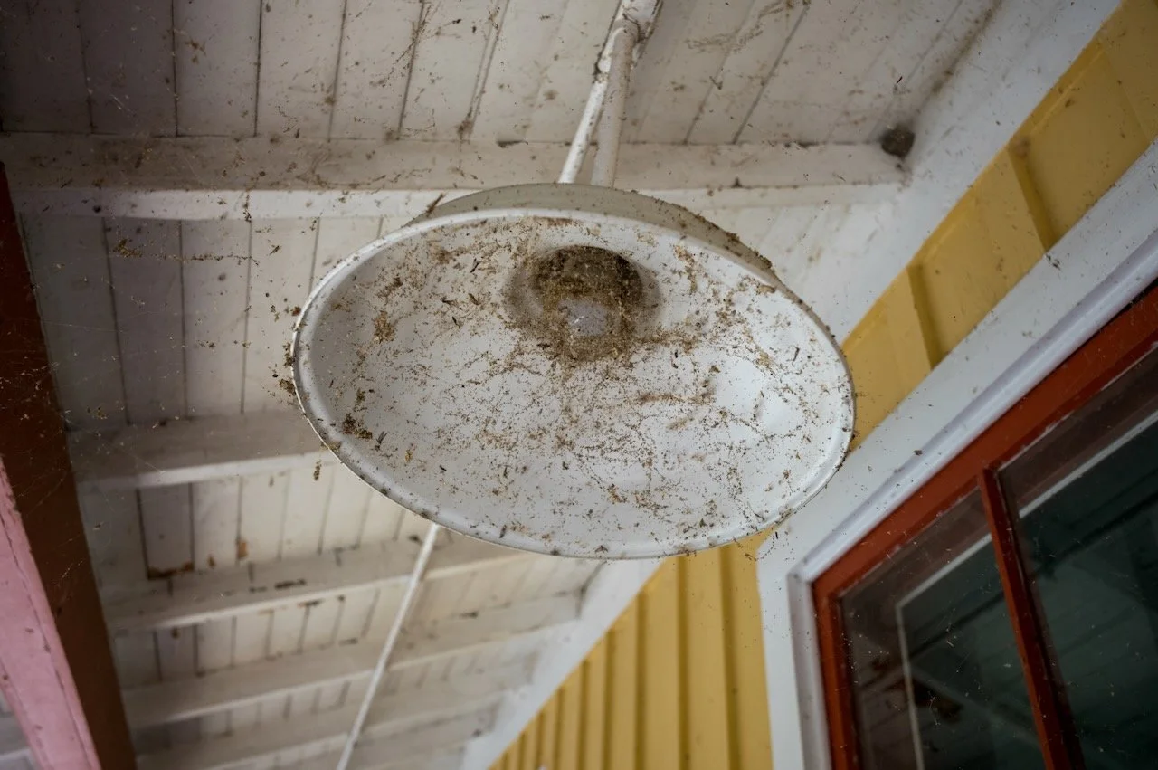 L1009857.jpeg