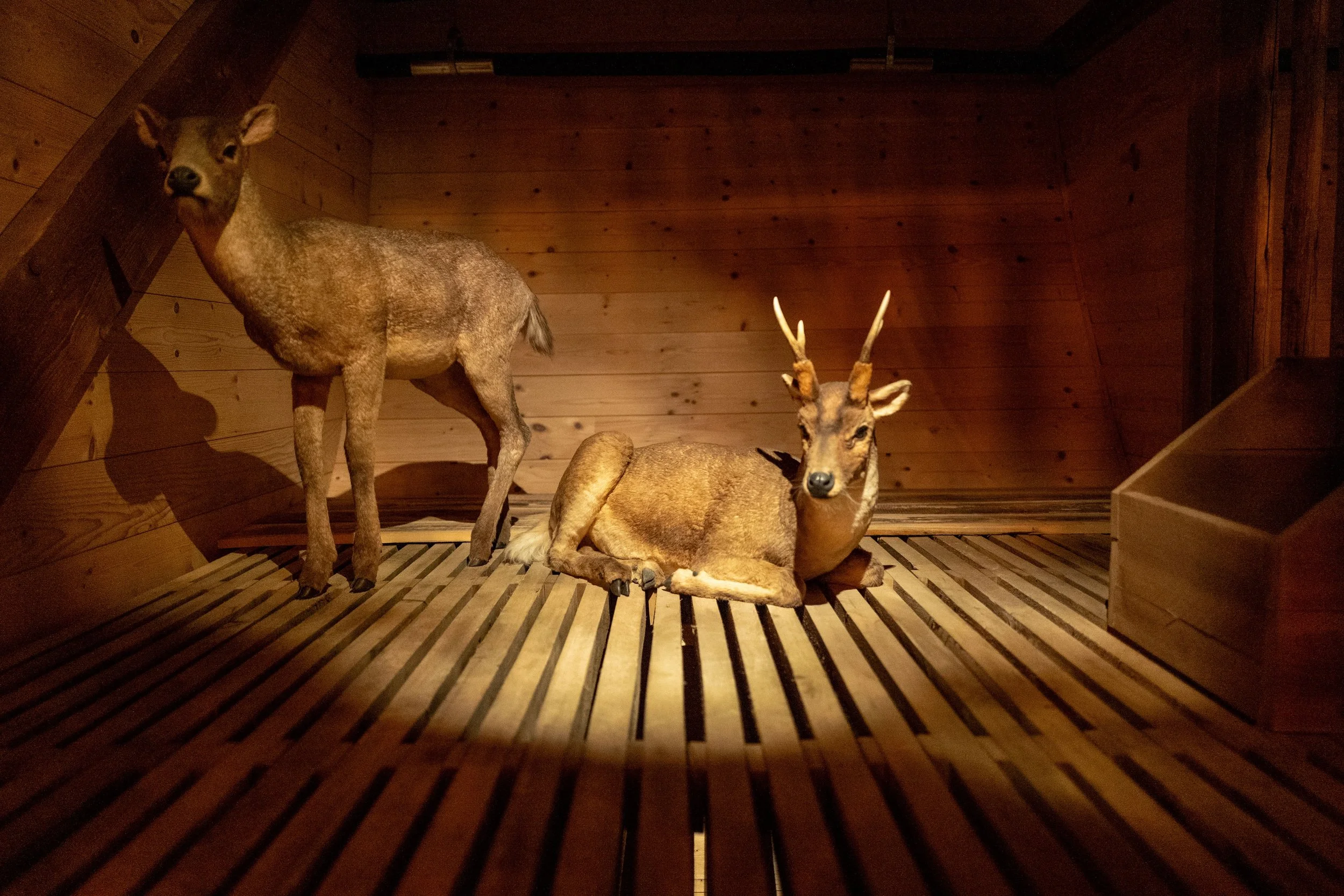 L1010728 (3).jpeg