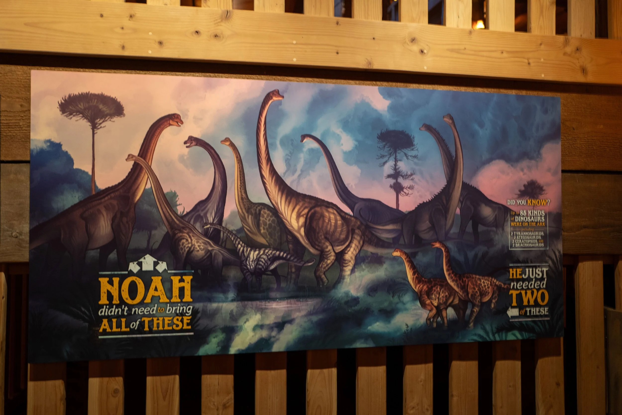 L1010730 (3).jpeg