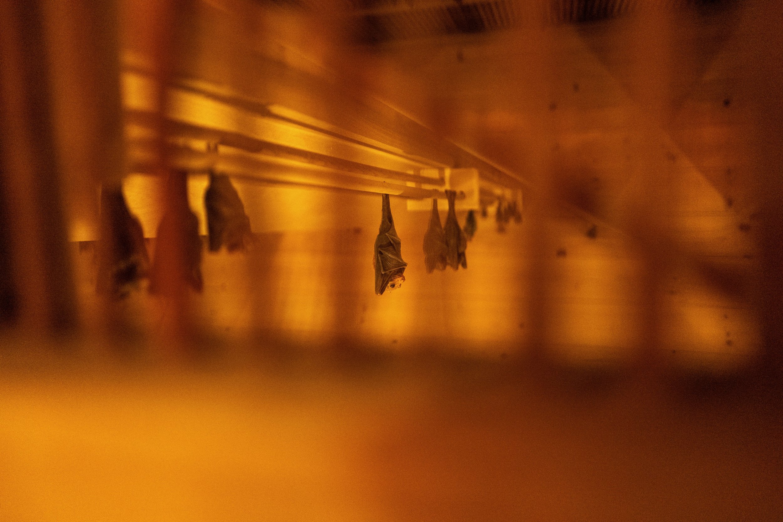 L1010732 (3).jpeg