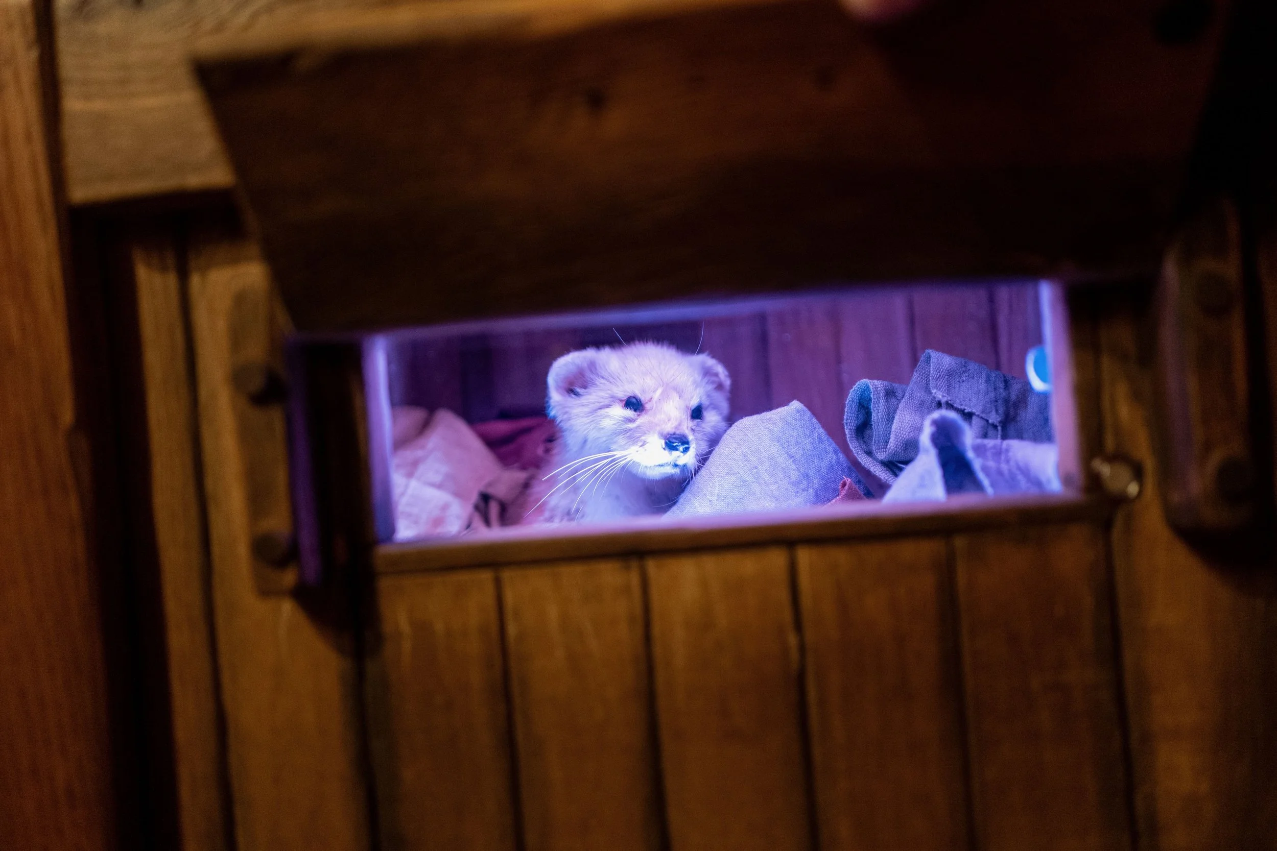 L1010754 (3).jpeg