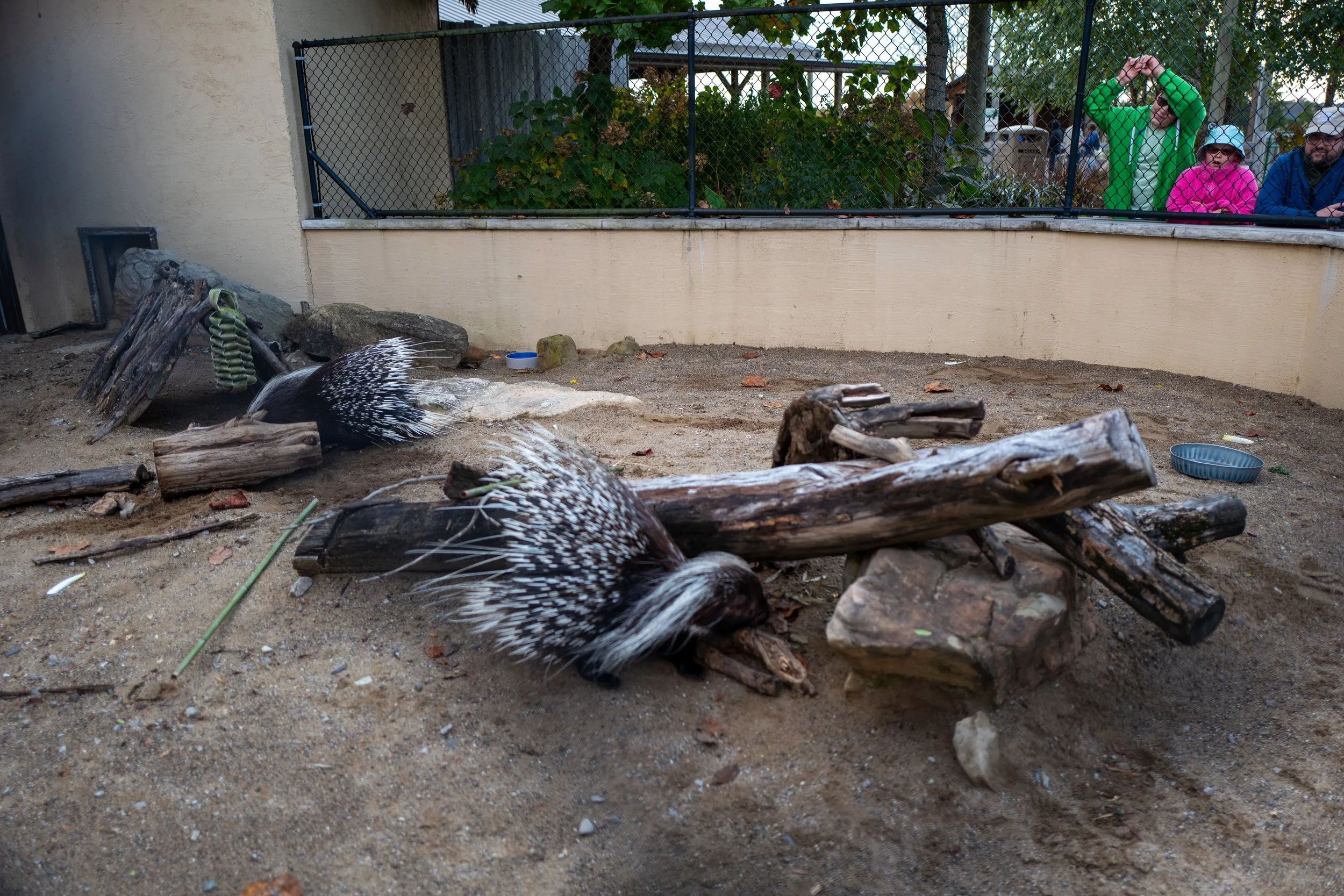 L1010801 (3).jpeg