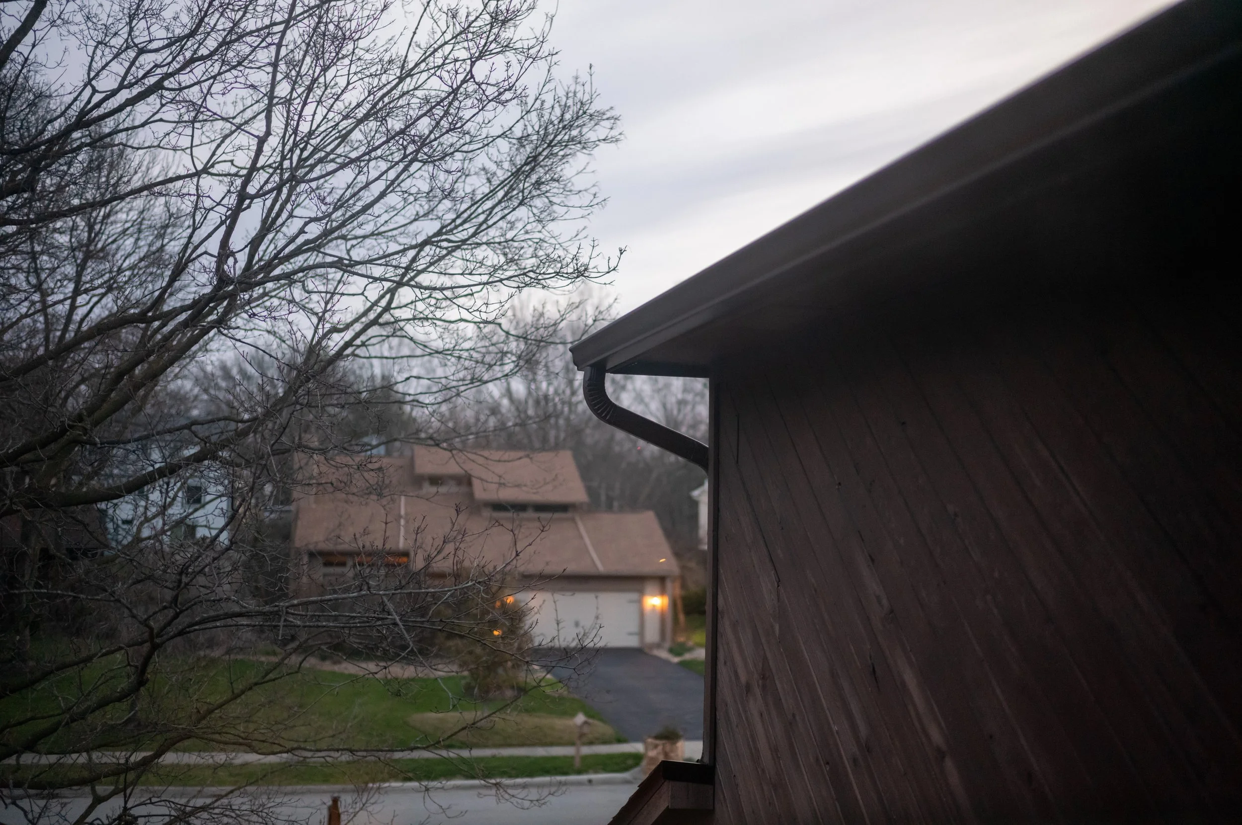 L1001209.jpeg