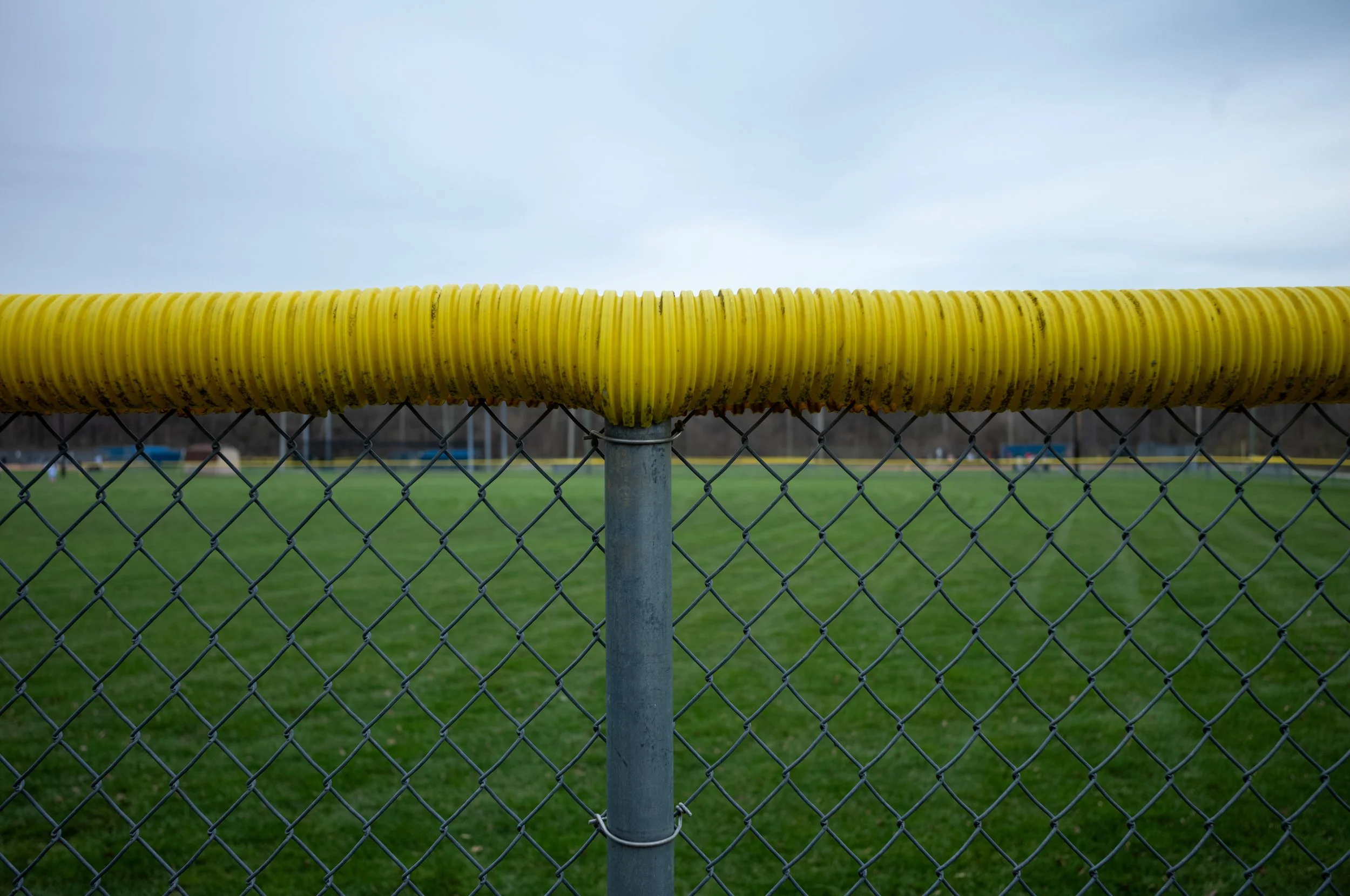 L1003254.jpeg