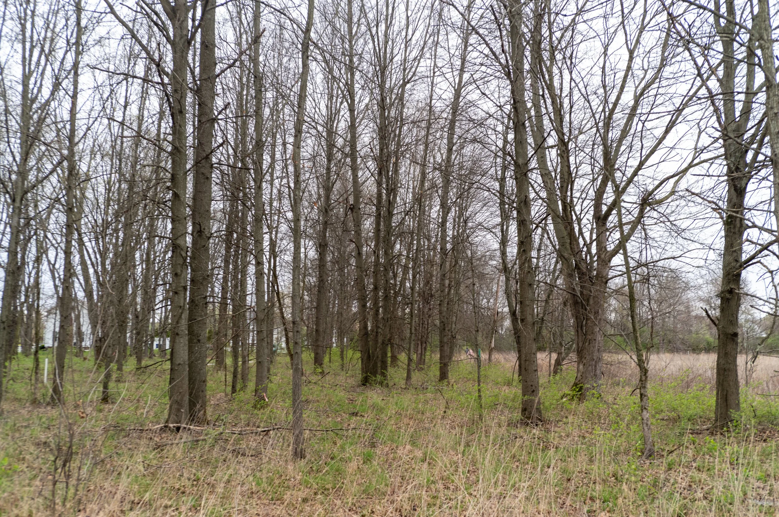 L1003304.jpeg