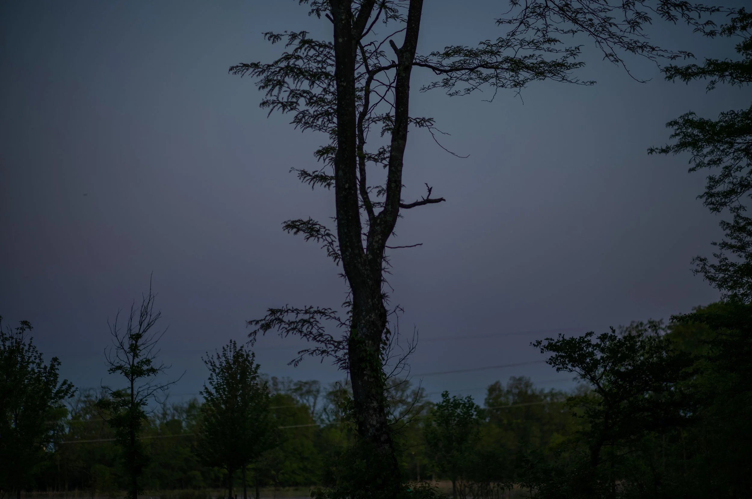 L1003383.jpeg