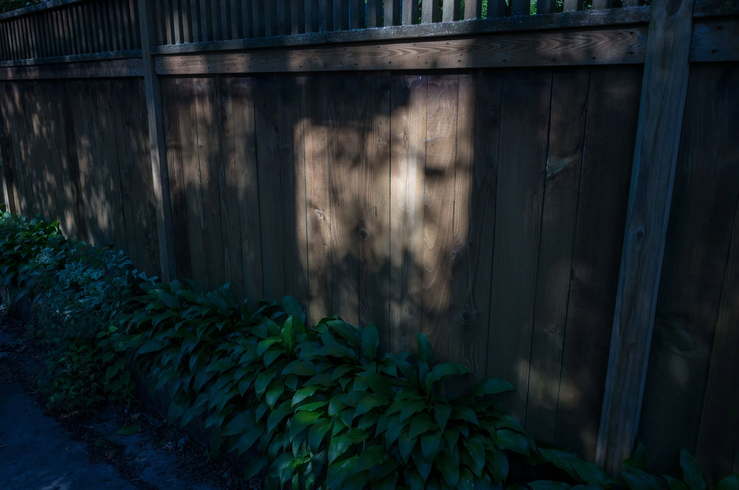 L1003928.jpeg