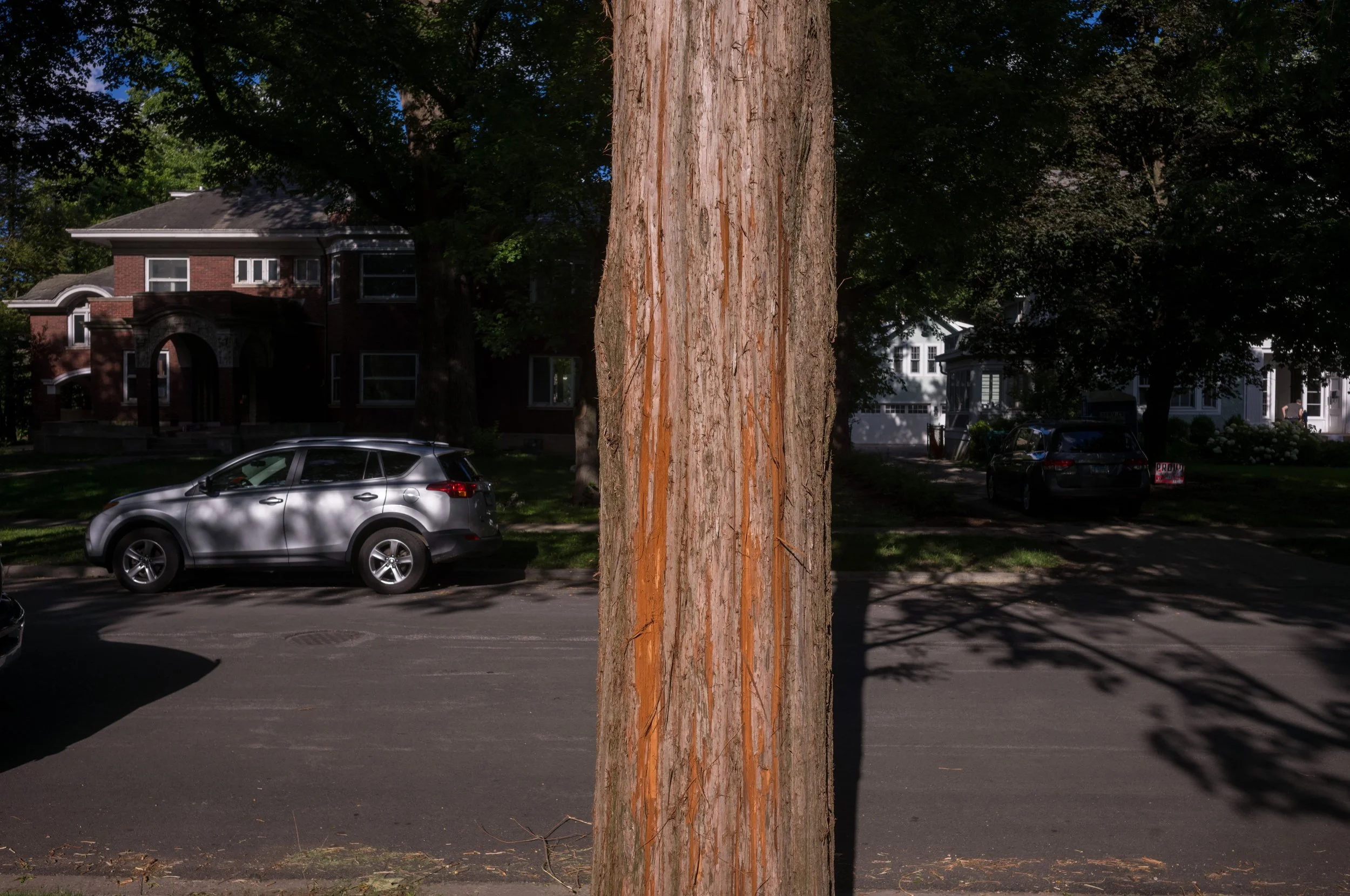 L1004087.jpeg