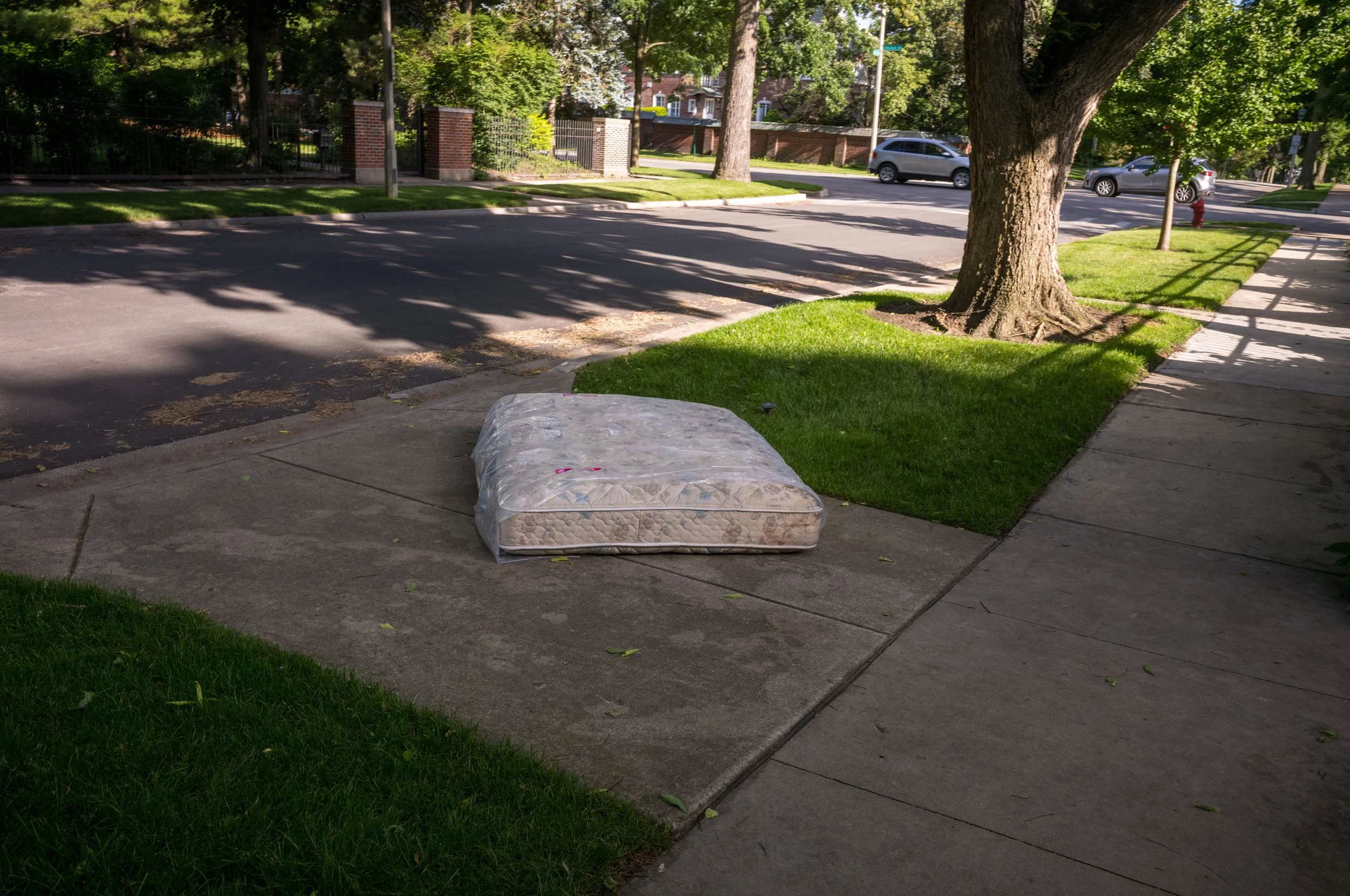 L1004088.jpeg