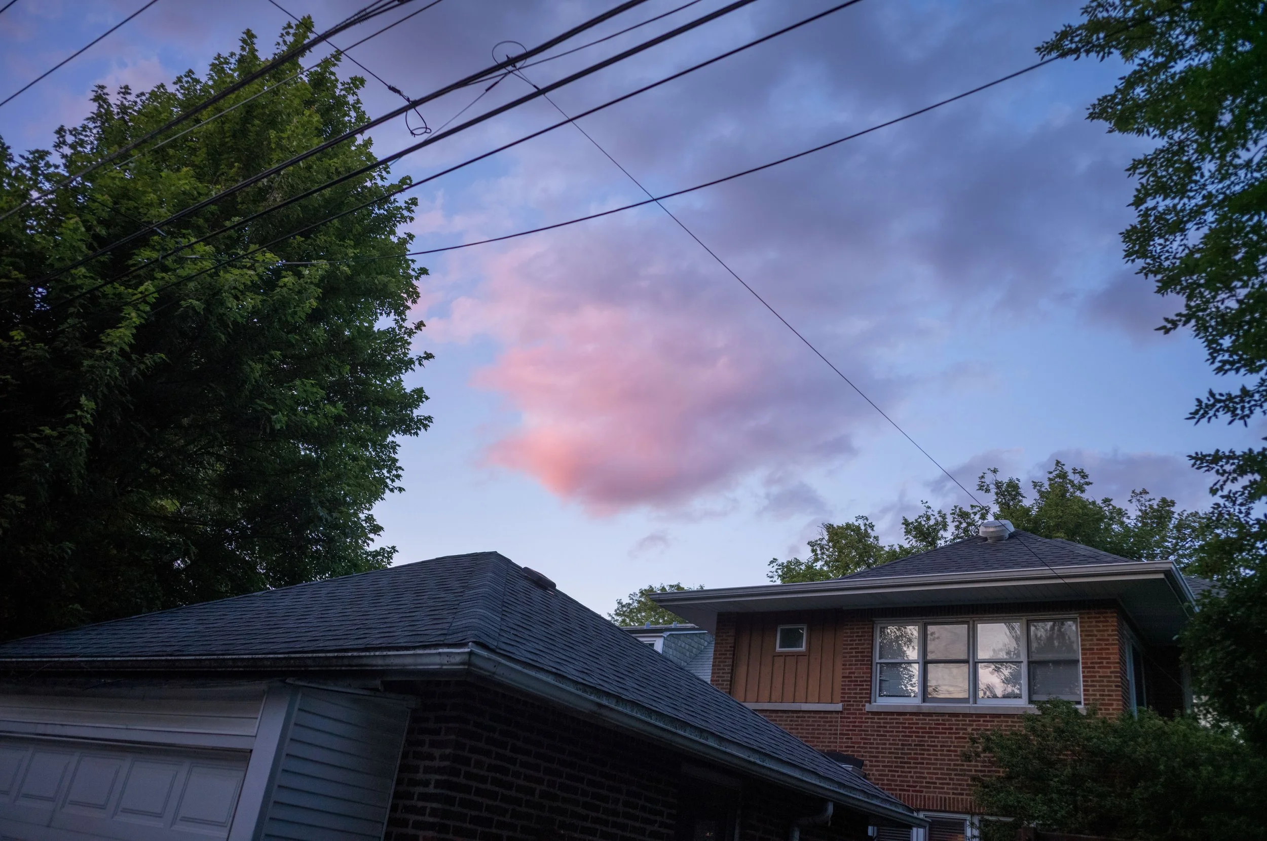 L1004114.jpeg