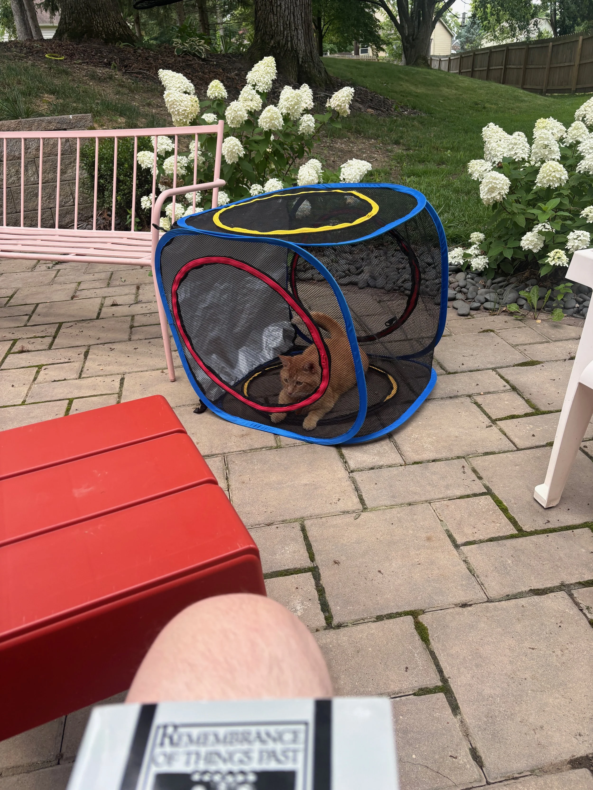 IMG_8371 (1).jpeg