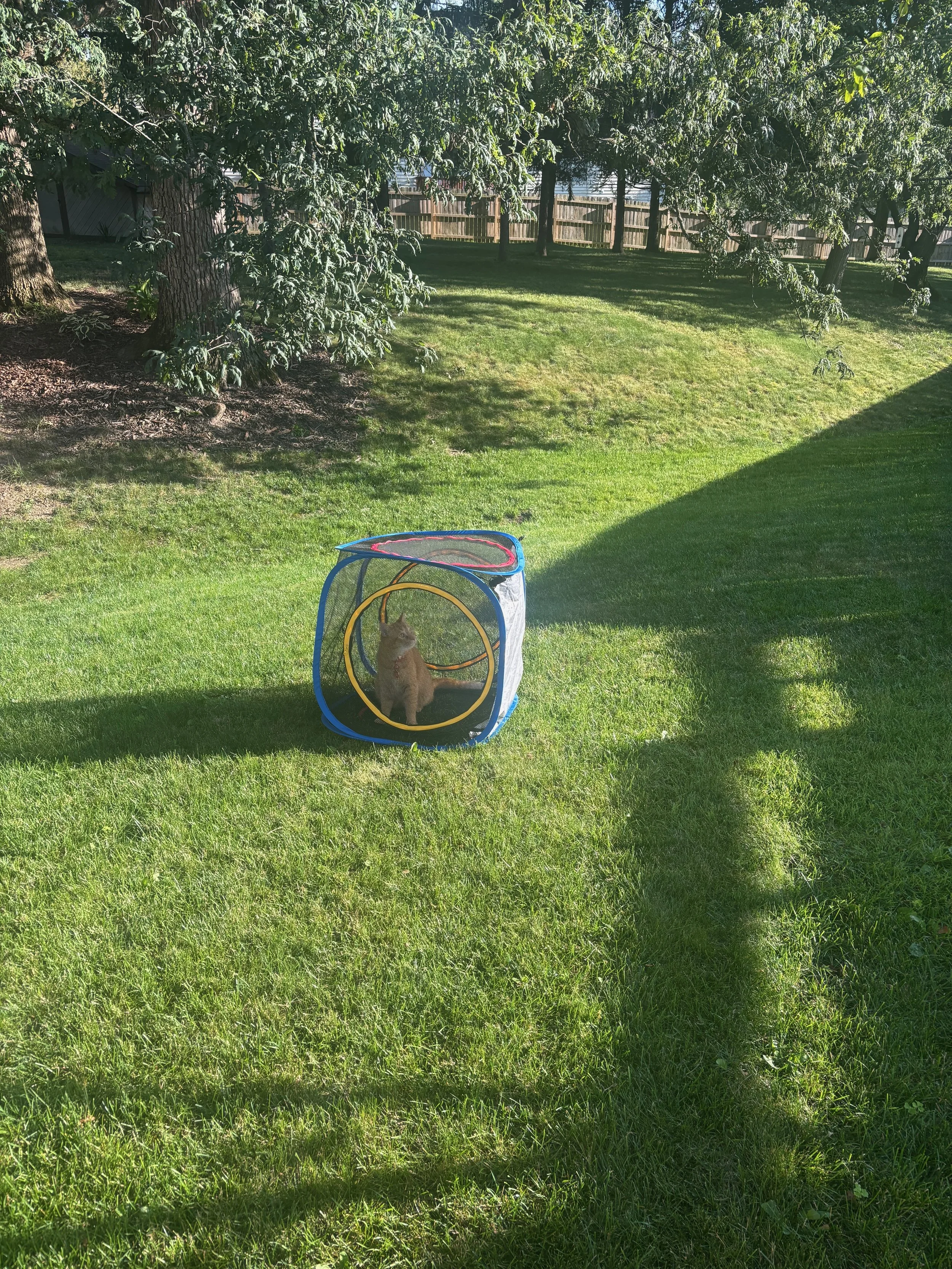 IMG_8372 (1).jpeg