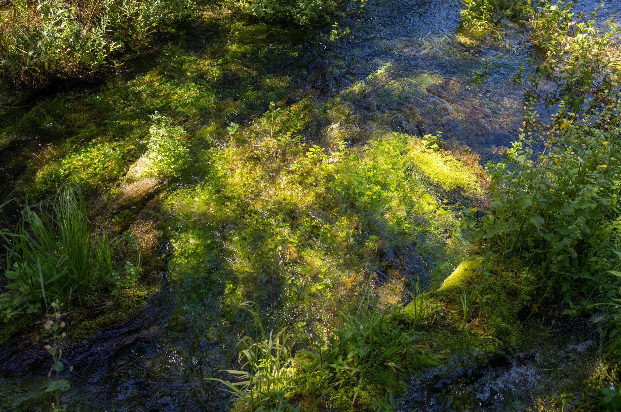L1004491-2 (1).jpeg