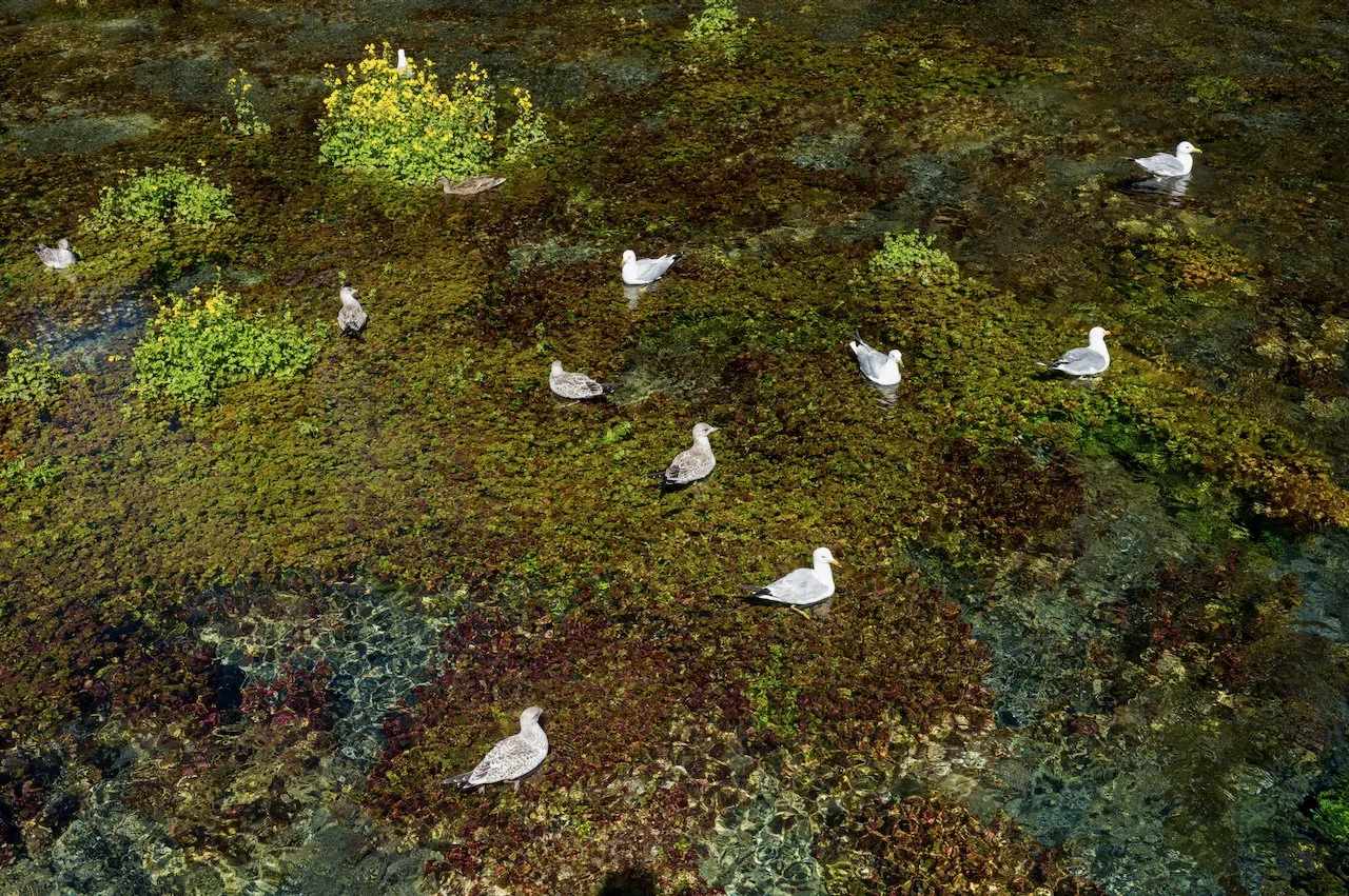 L1004500-2.jpeg