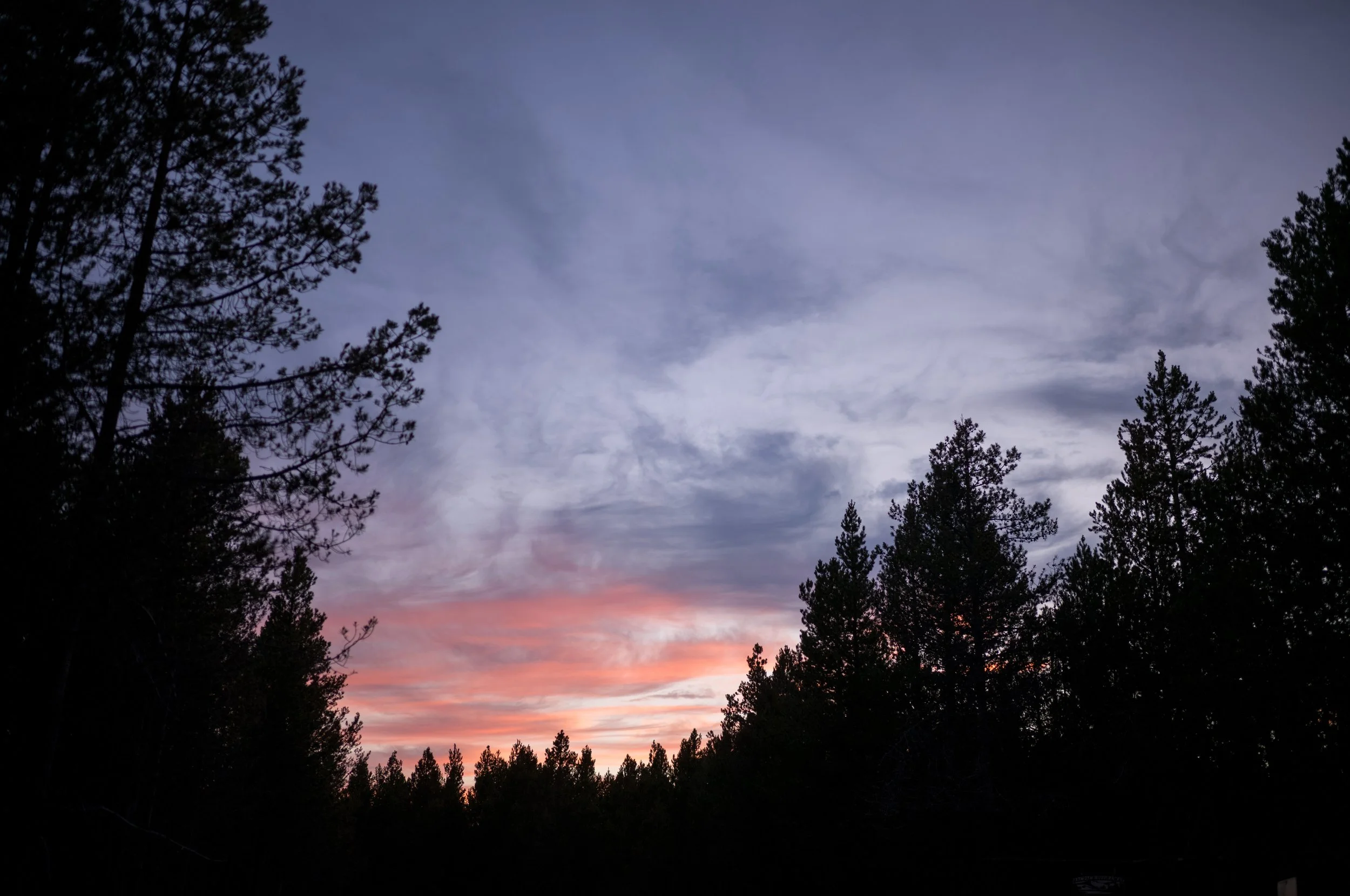 L1004518-2 (1).jpeg