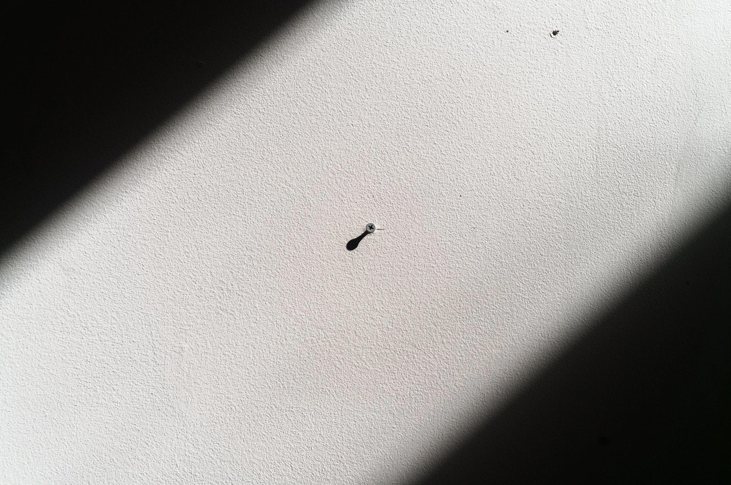 L1004633.jpeg