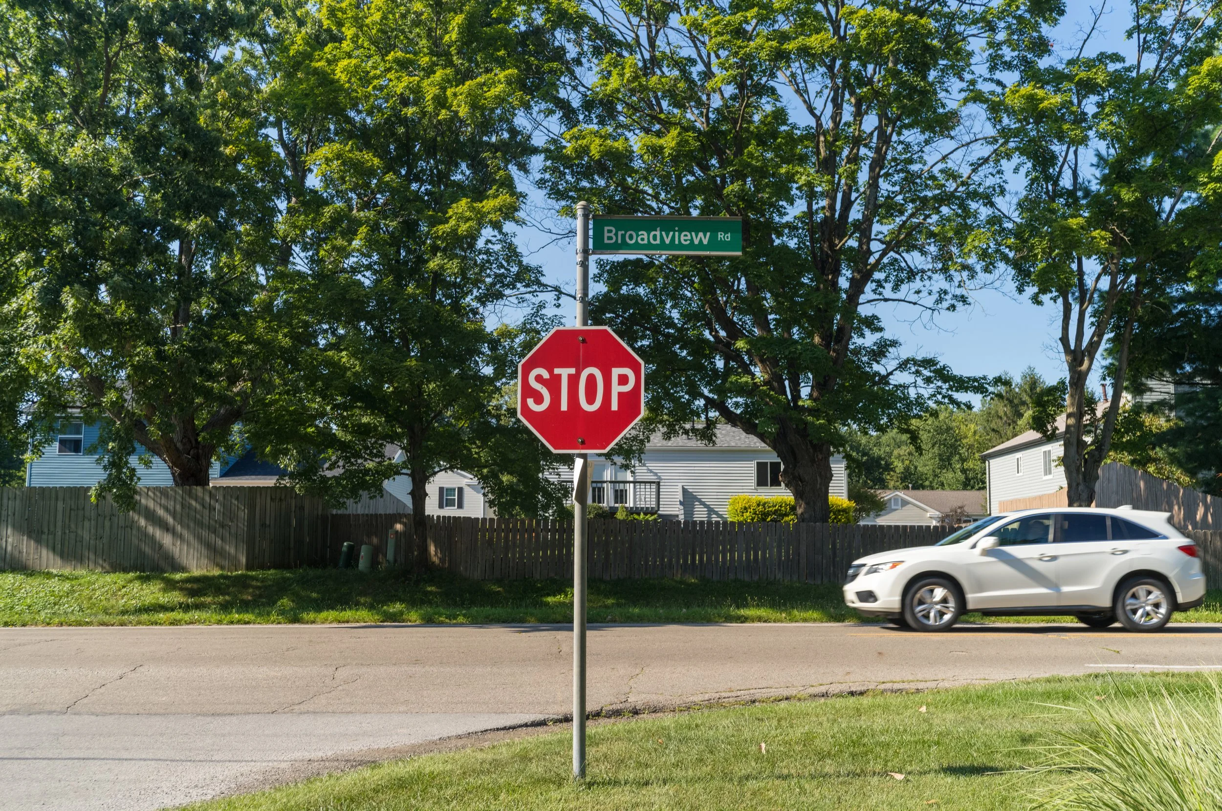 L1004554.jpeg