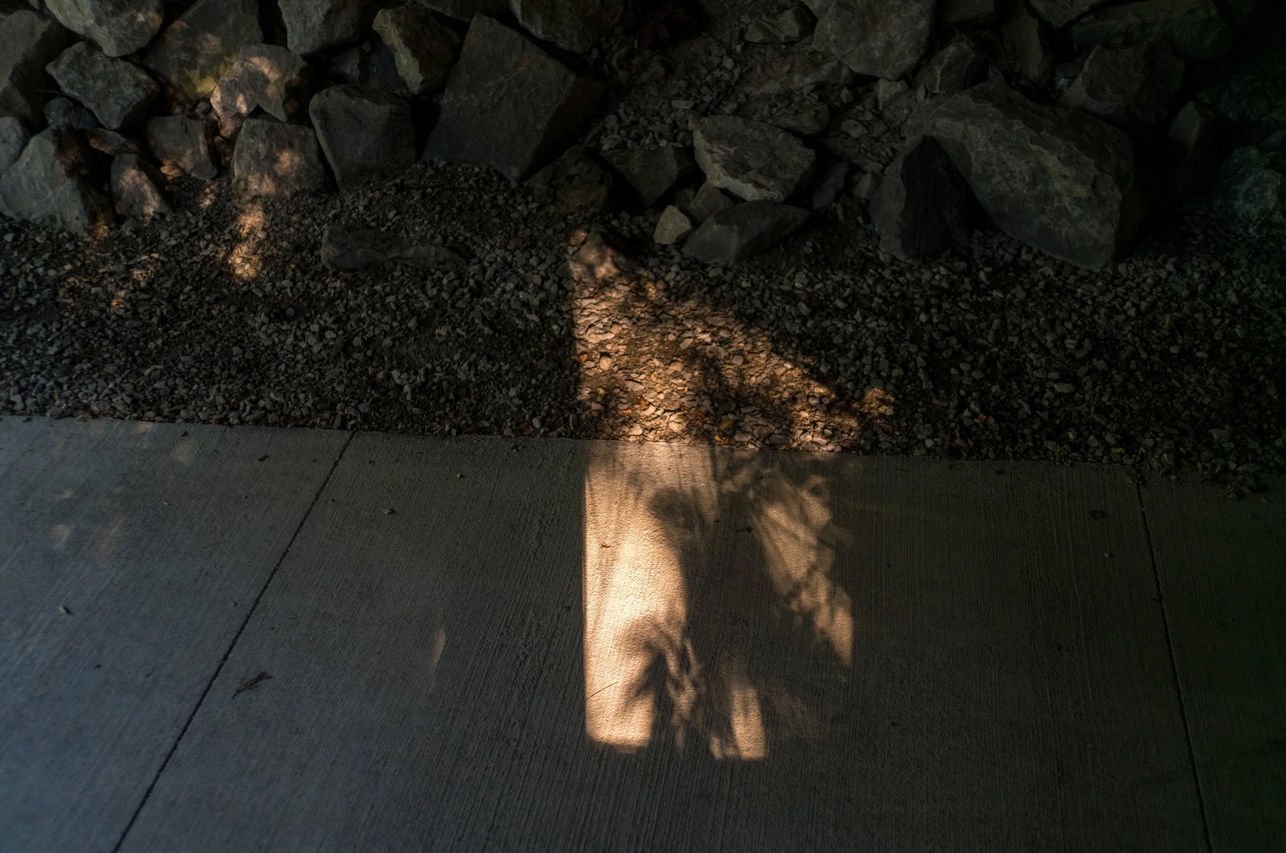 L1004573.jpeg
