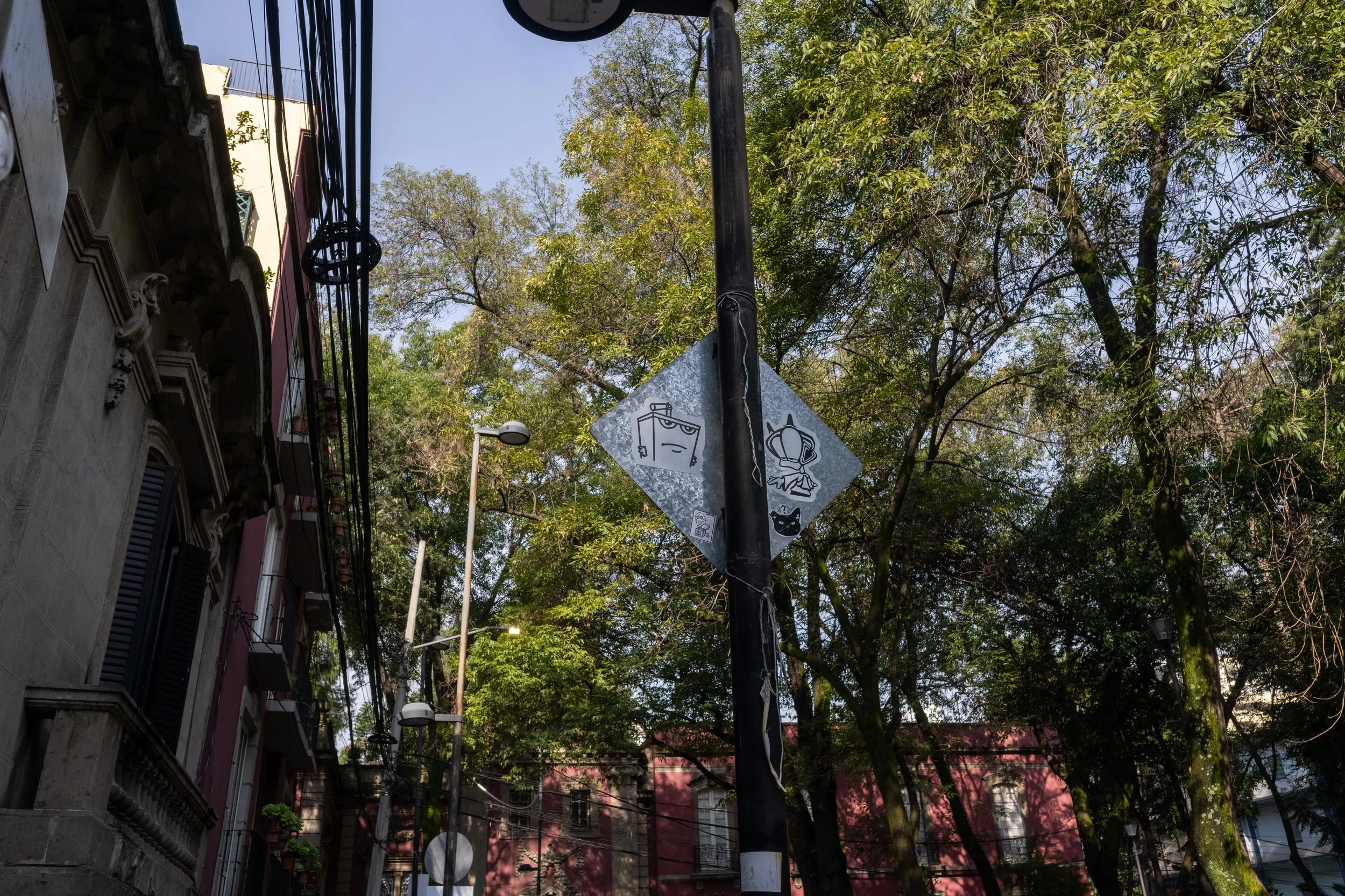 R0002448.jpeg