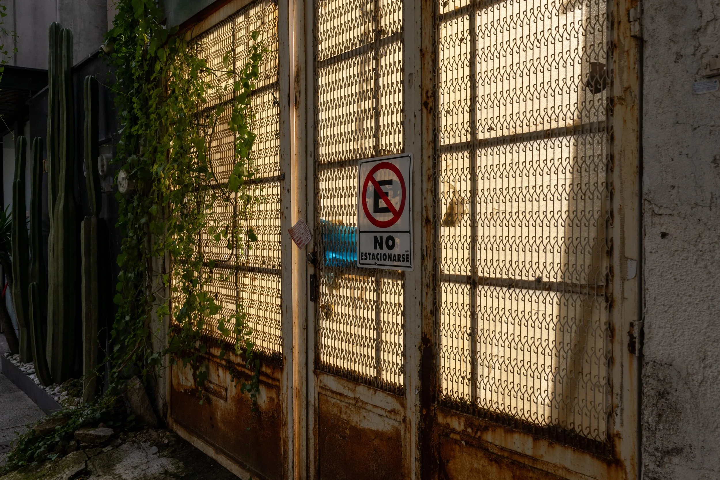 R0002769.jpeg