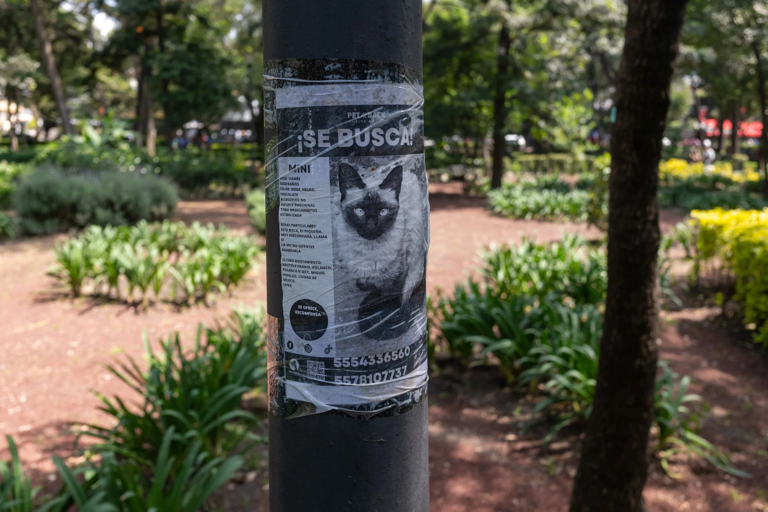 R0002907.jpeg