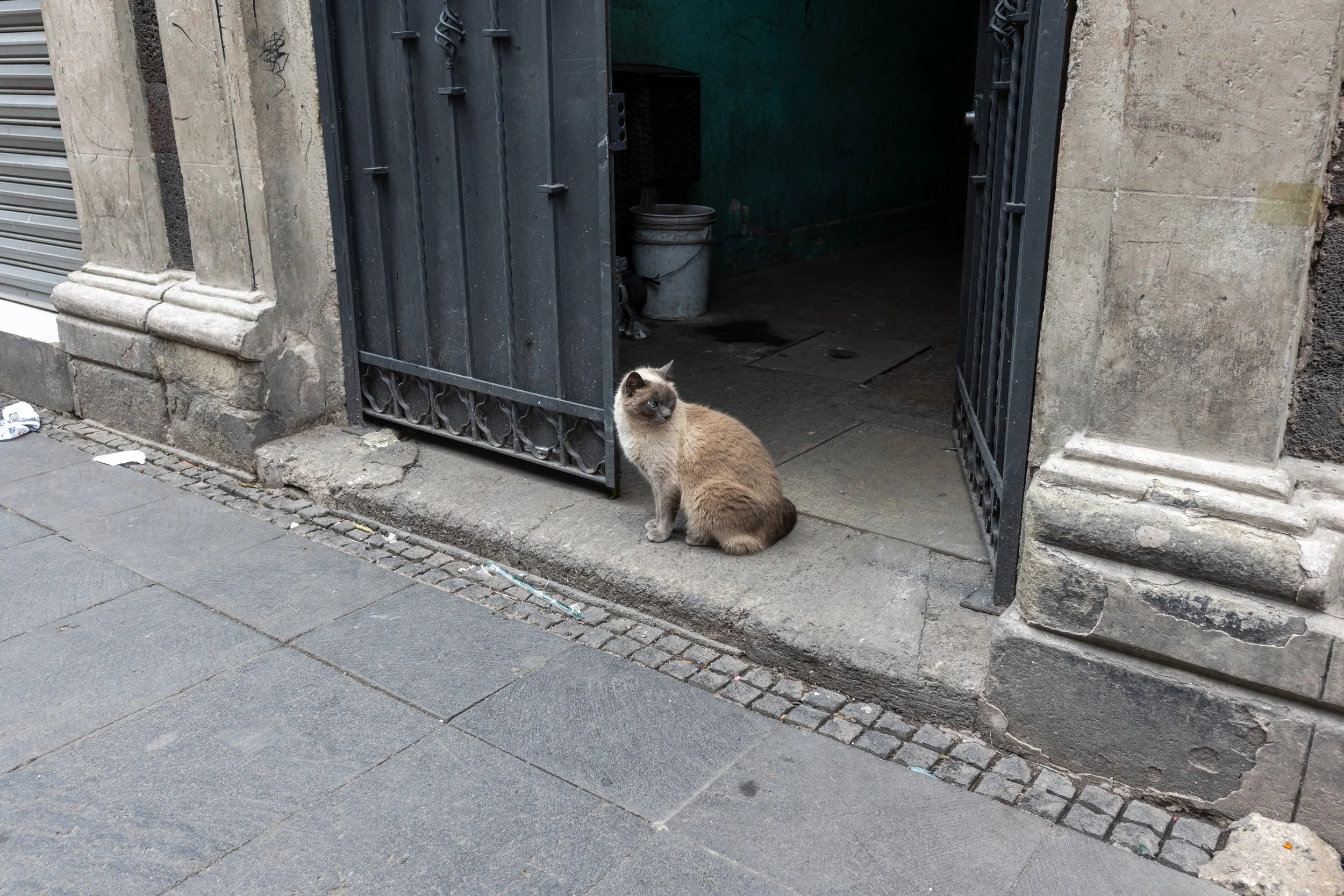 R0003179.jpeg