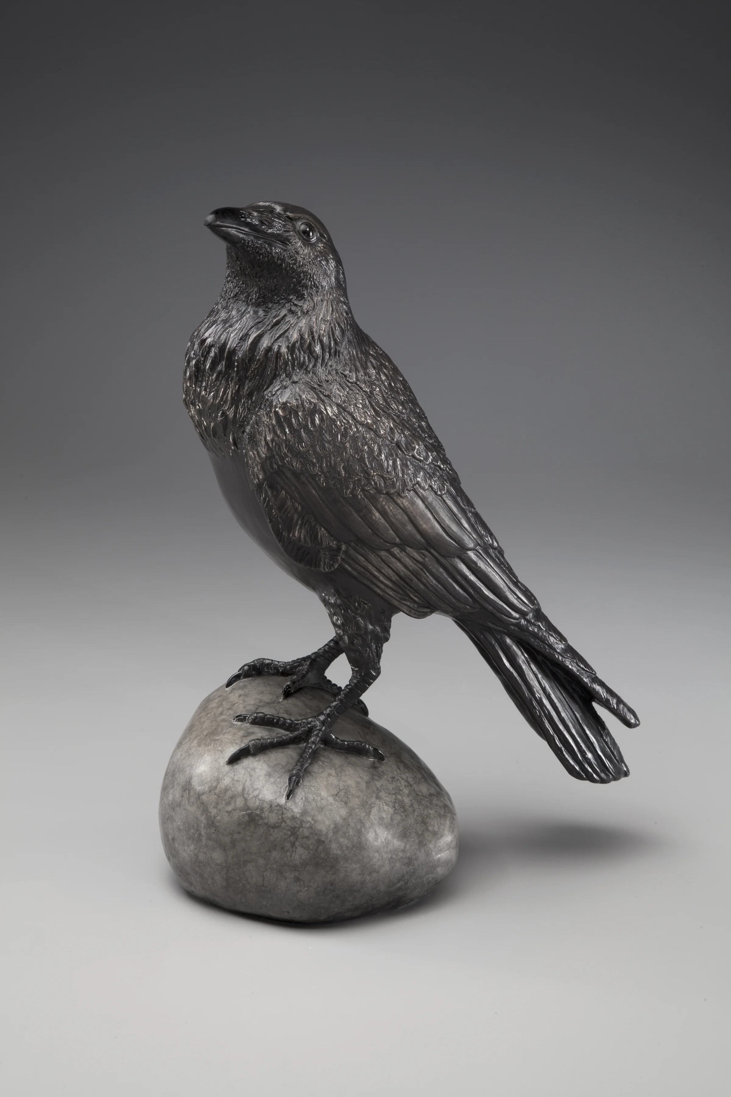 Raven, View 1, Facing Left, 300.jpg