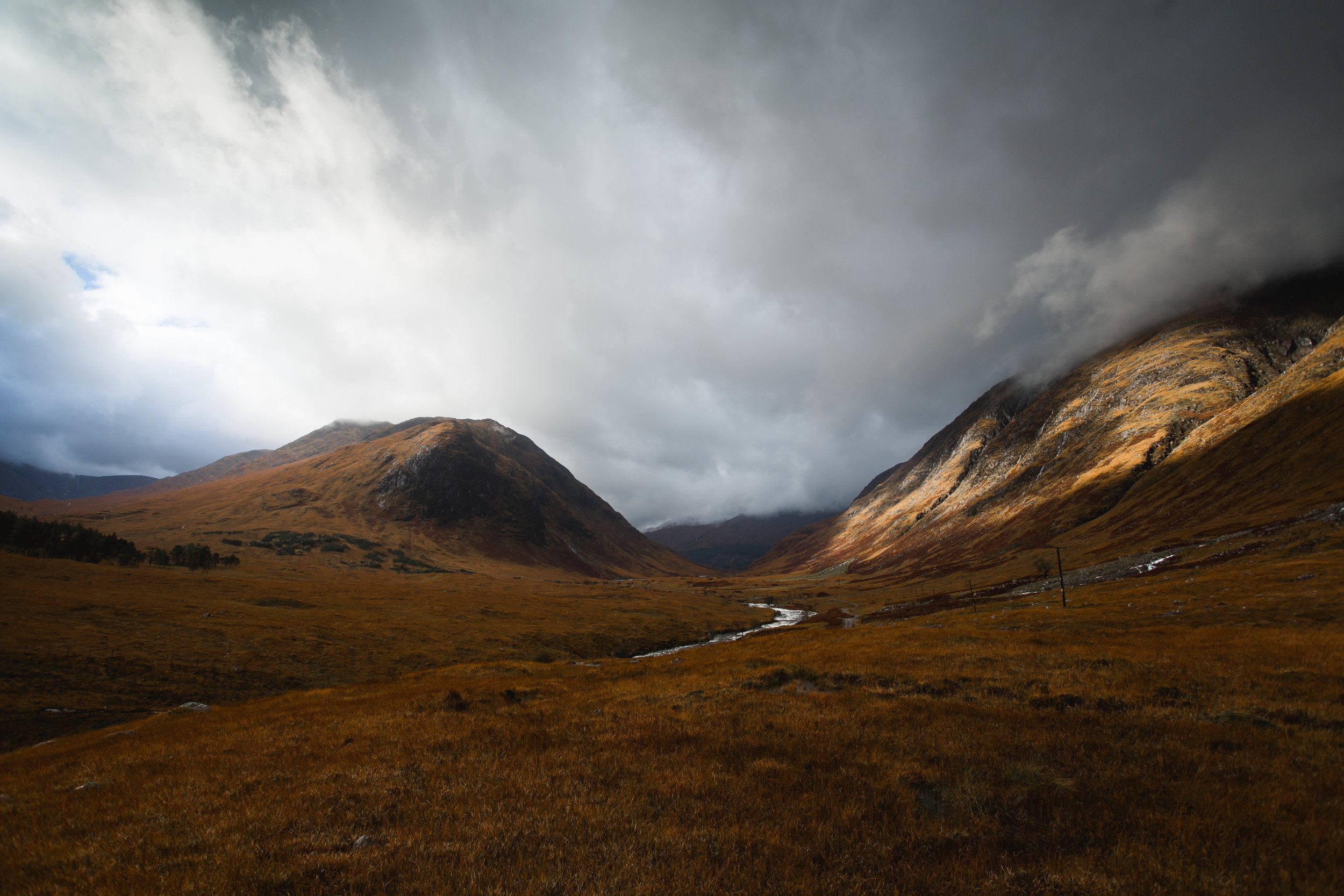 Autumnal Light