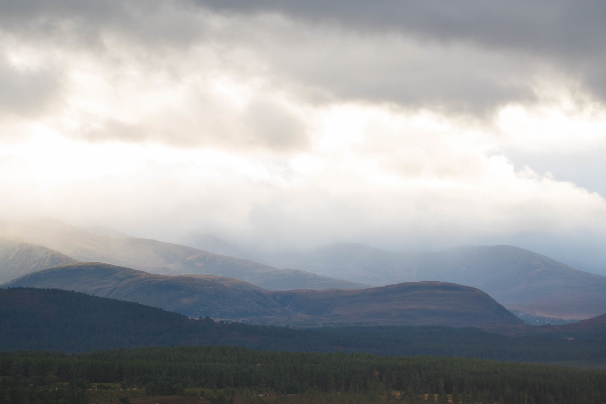 Cairngorms  (1 of 25).jpg