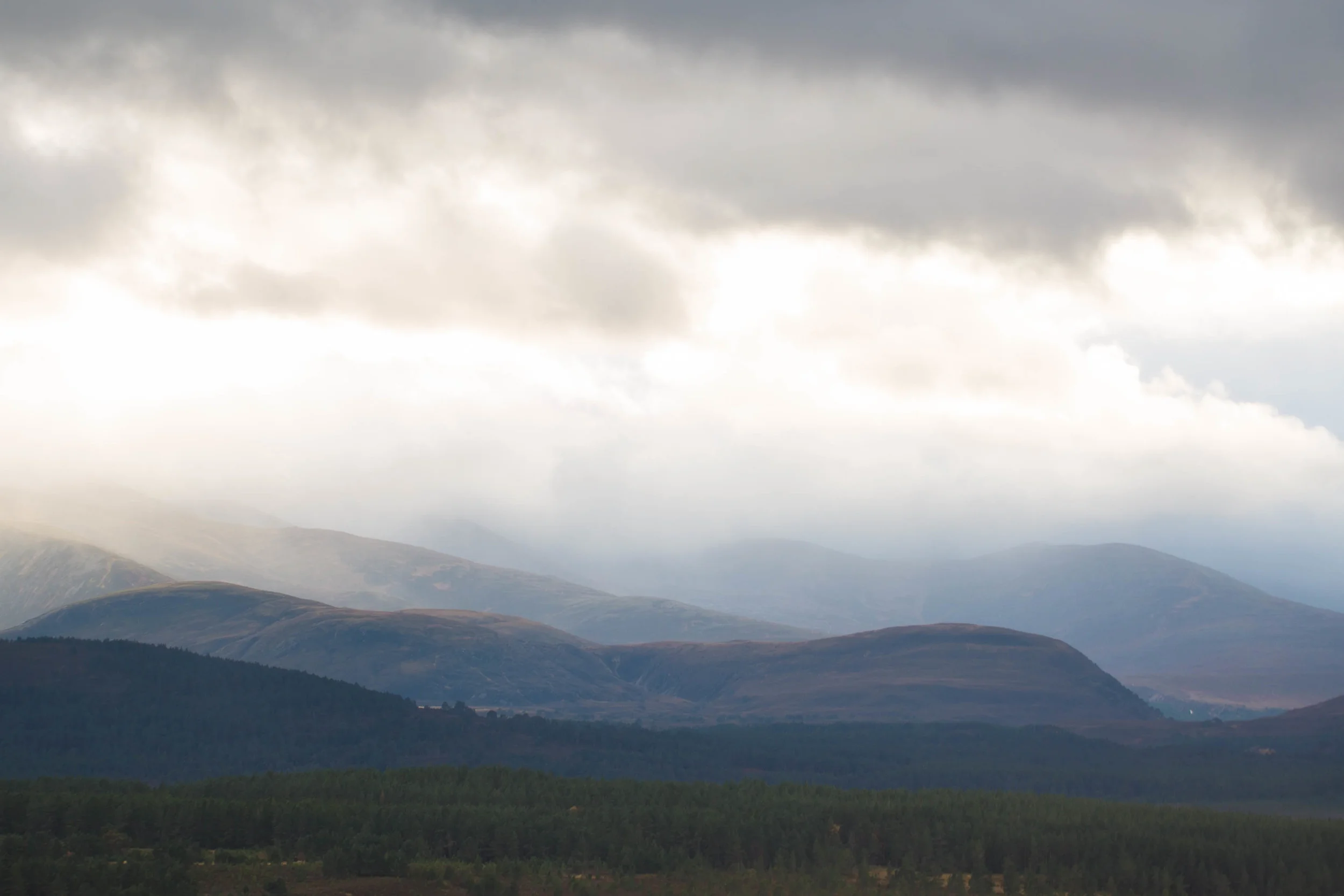 Cairngorms (1 of 25).jpg