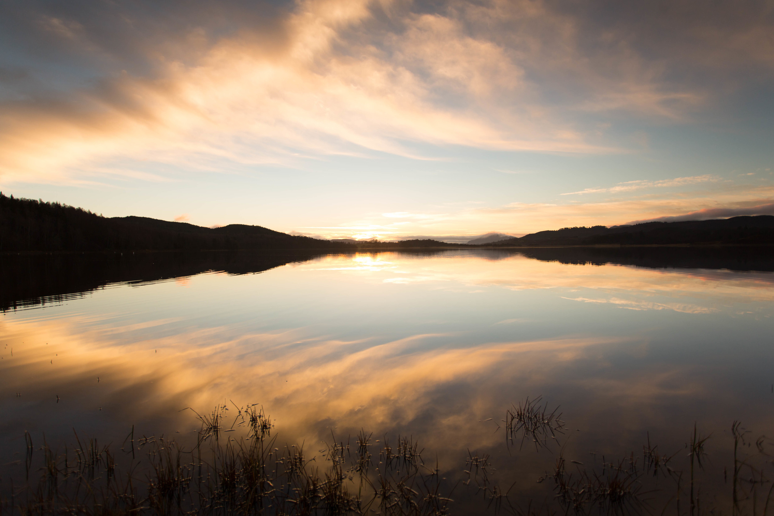 Cairngorms  (10 of 25).jpg