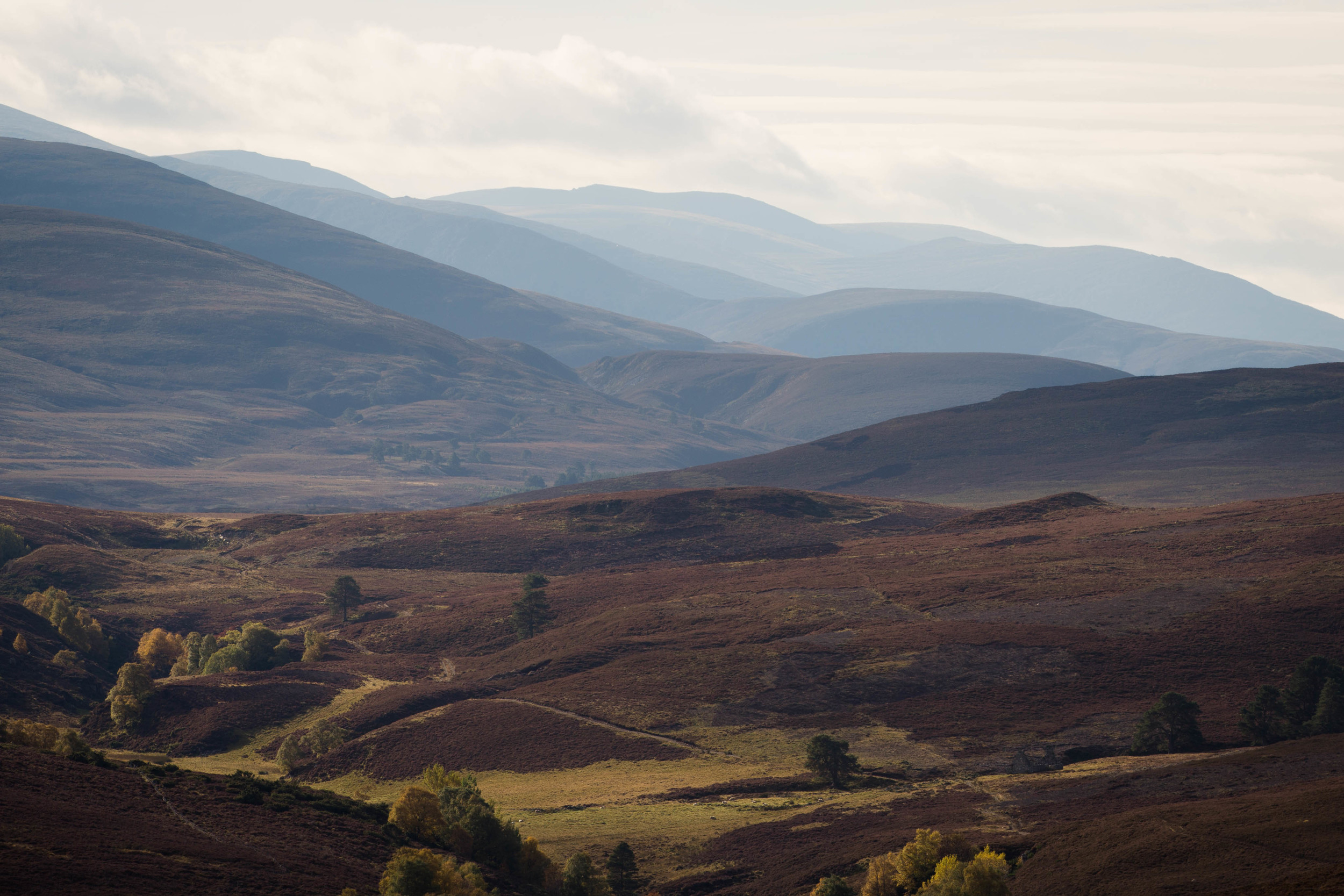 Cairngorms  (12 of 25).jpg