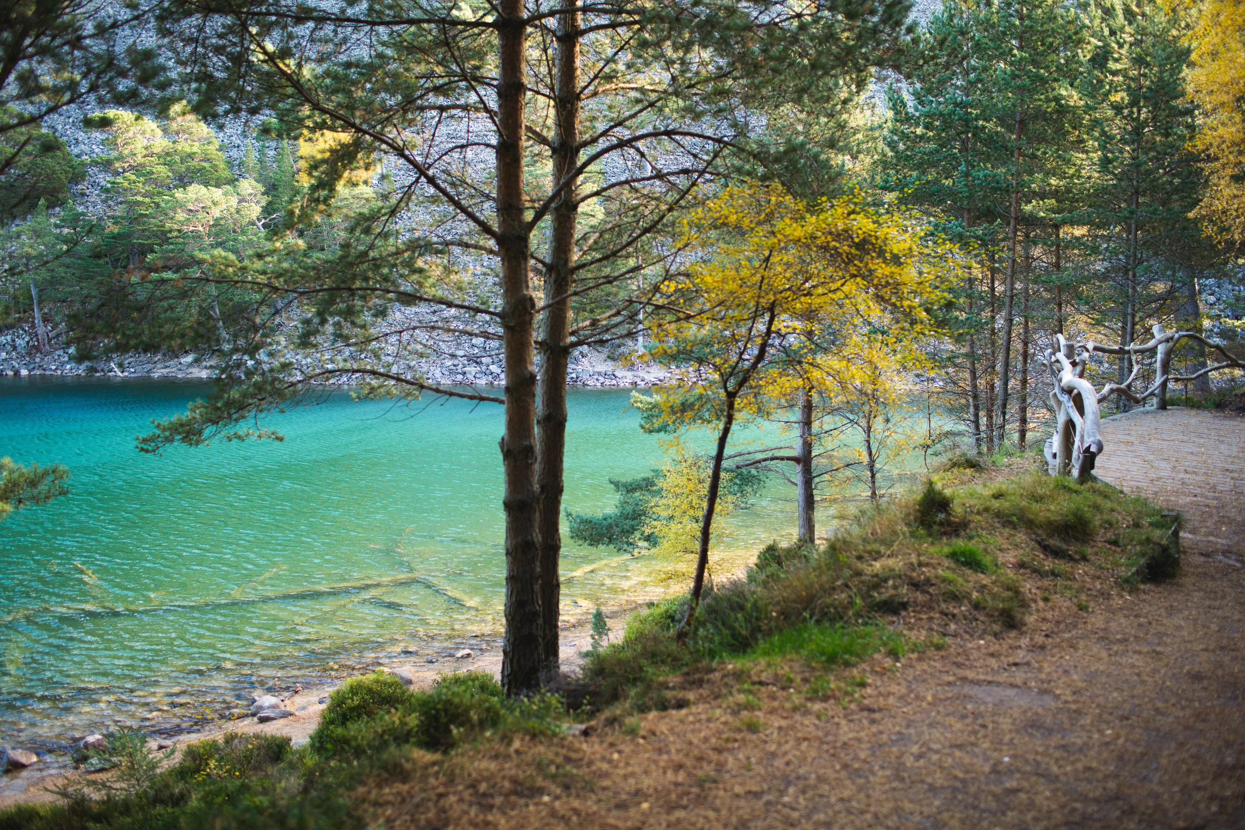 Cairngorms (17 of 25).jpg