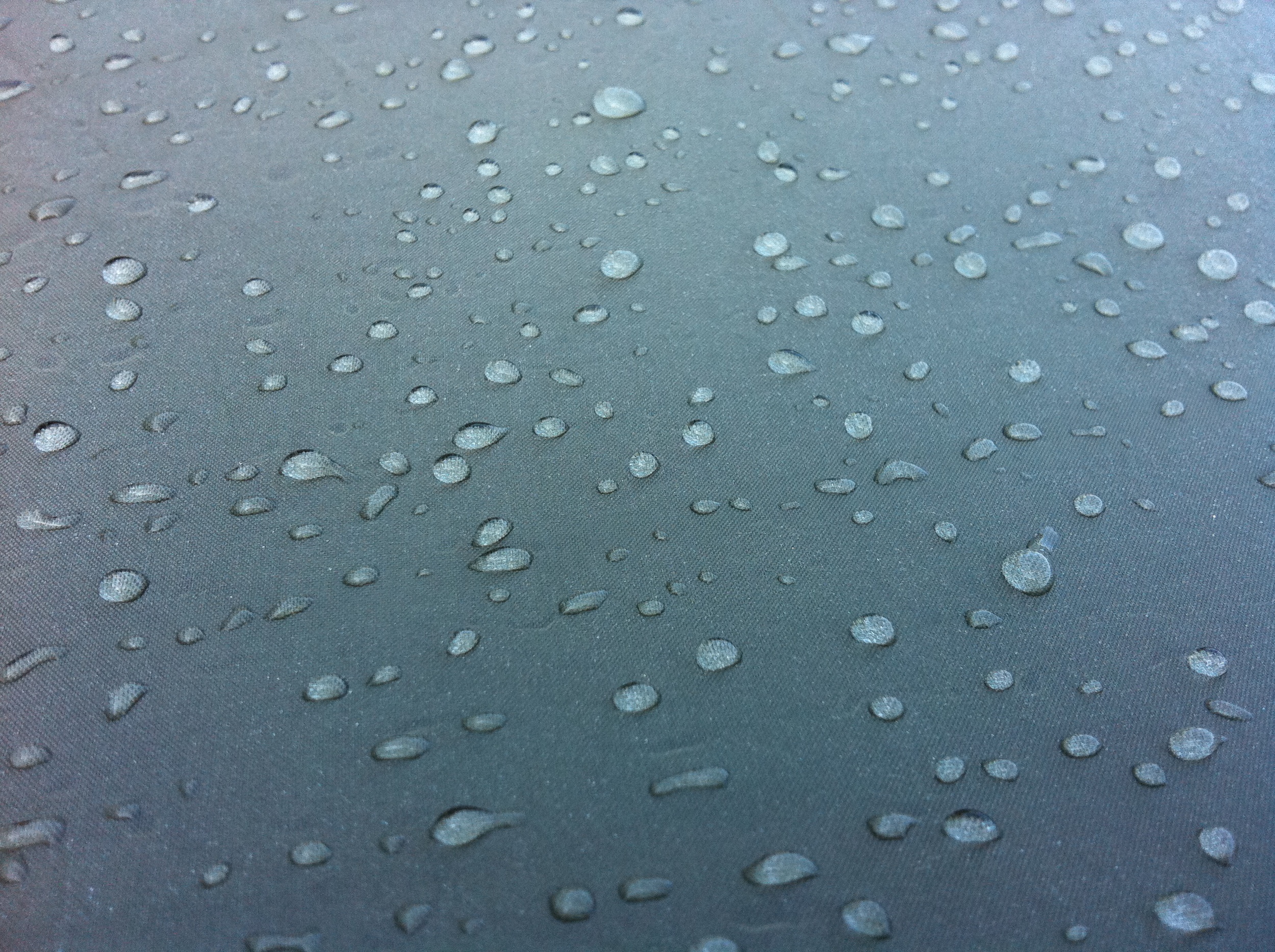 IMG_0004.JPG